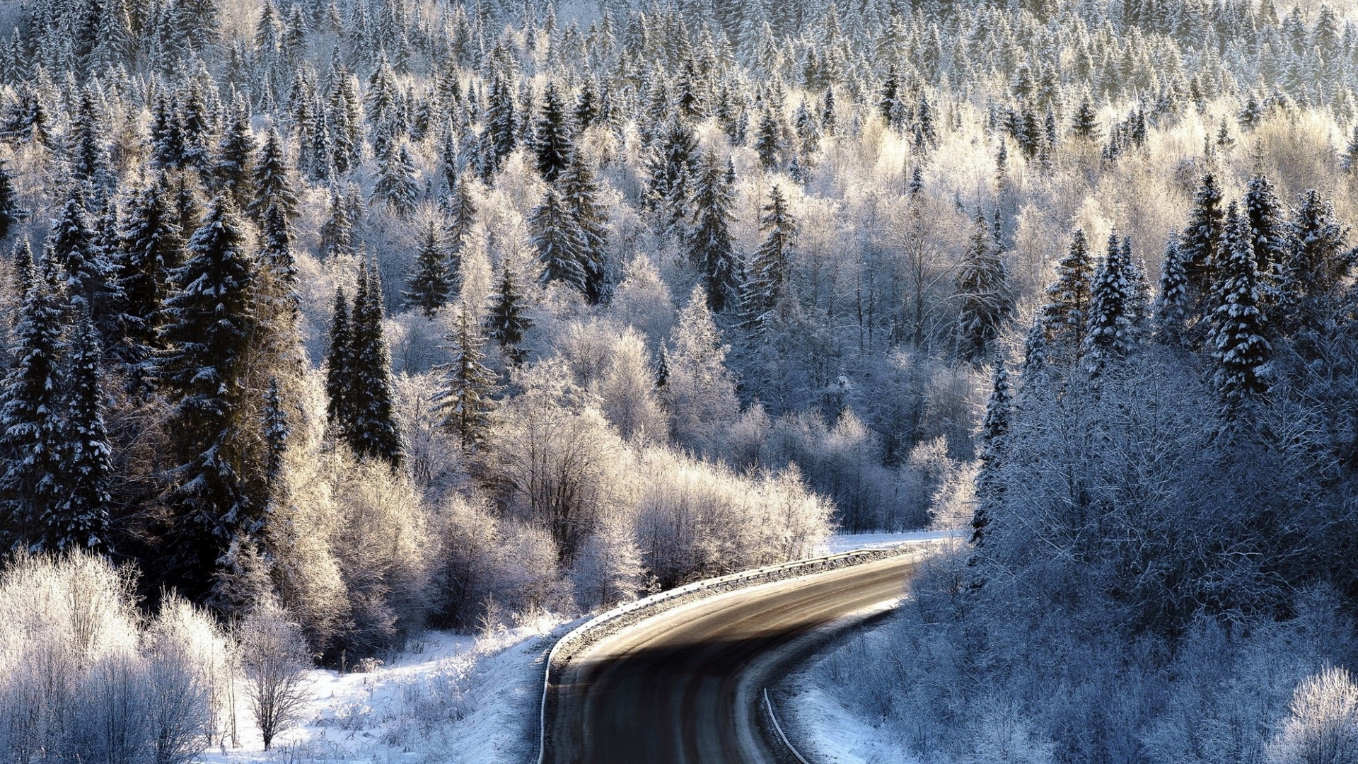 ice, trees, snow, street, forest, HD Wallpaper