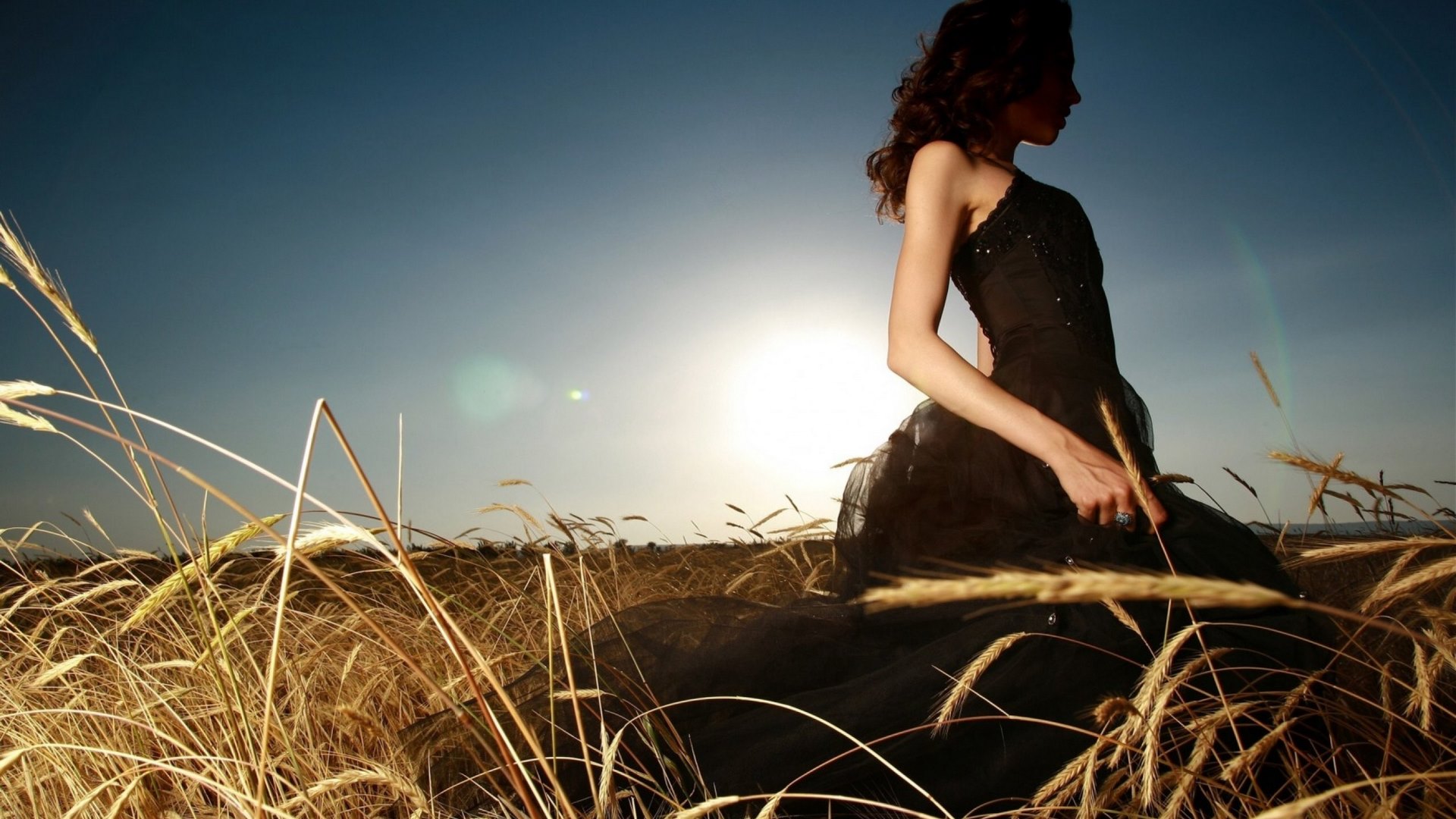 crop, bride, girl, field, HD Wallpaper