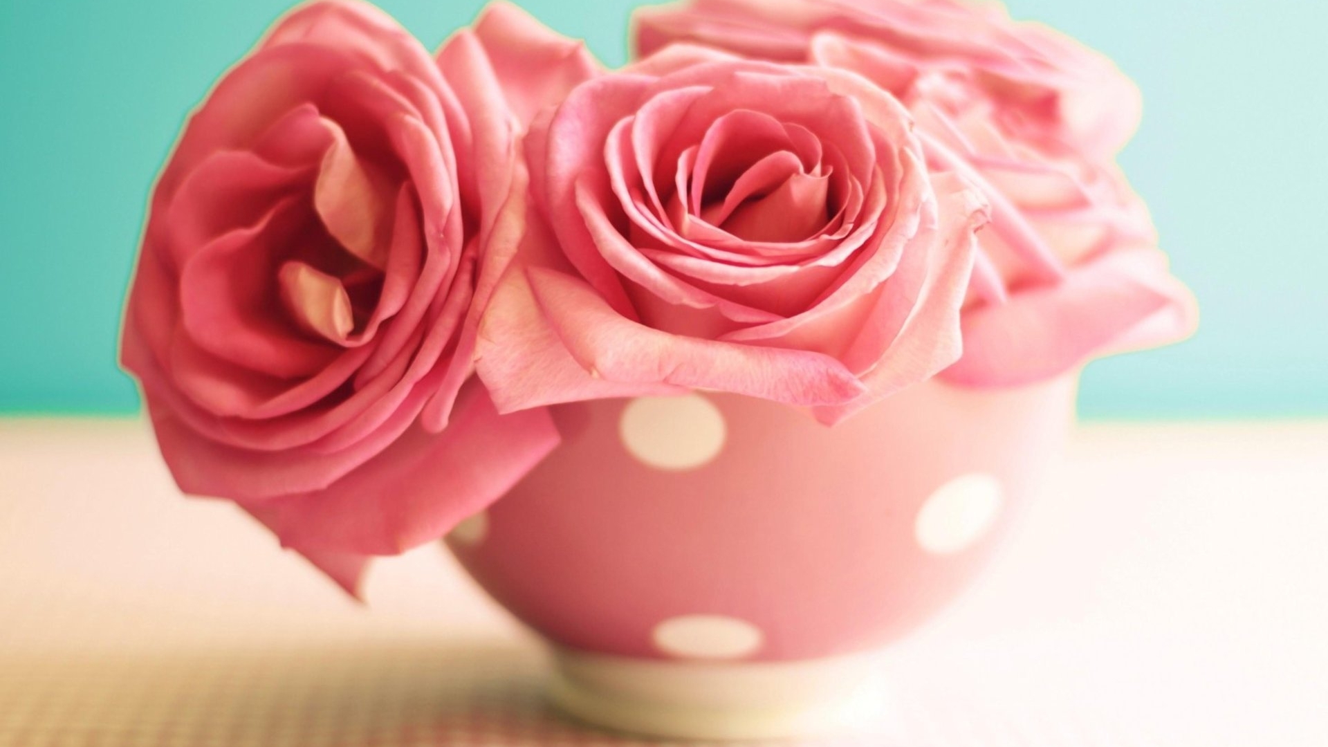 table, flowers, nature, roses, pink, HD Wallpaper