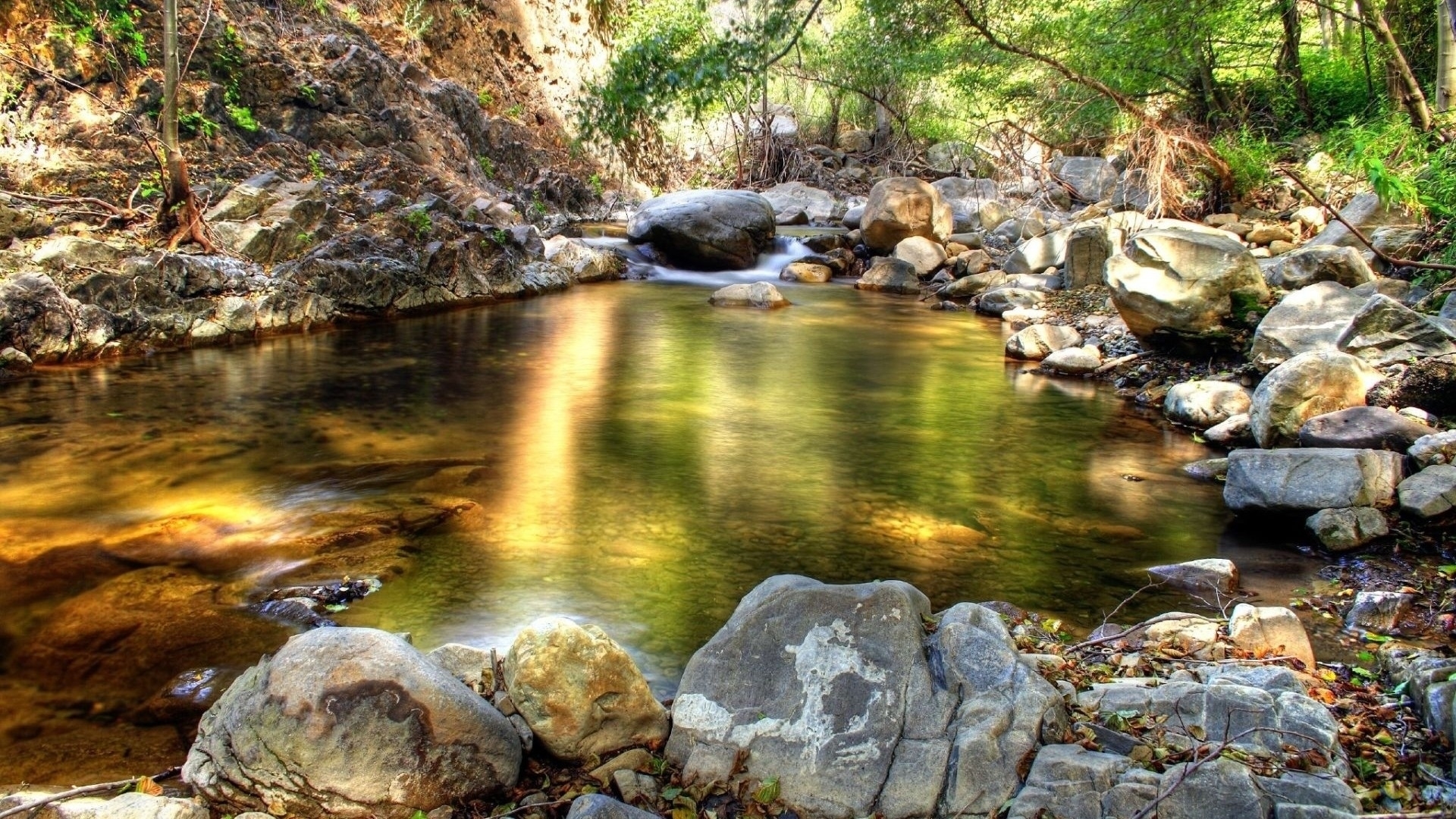 forest, sunrays, stones, creek, reflection, HD Wallpaper