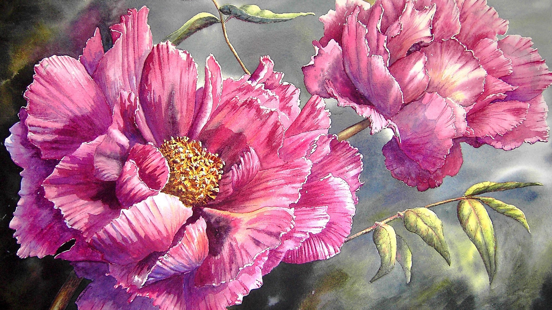 pink, peony, art, shelley waring, painting, flower, pictura, HD Wallpaper