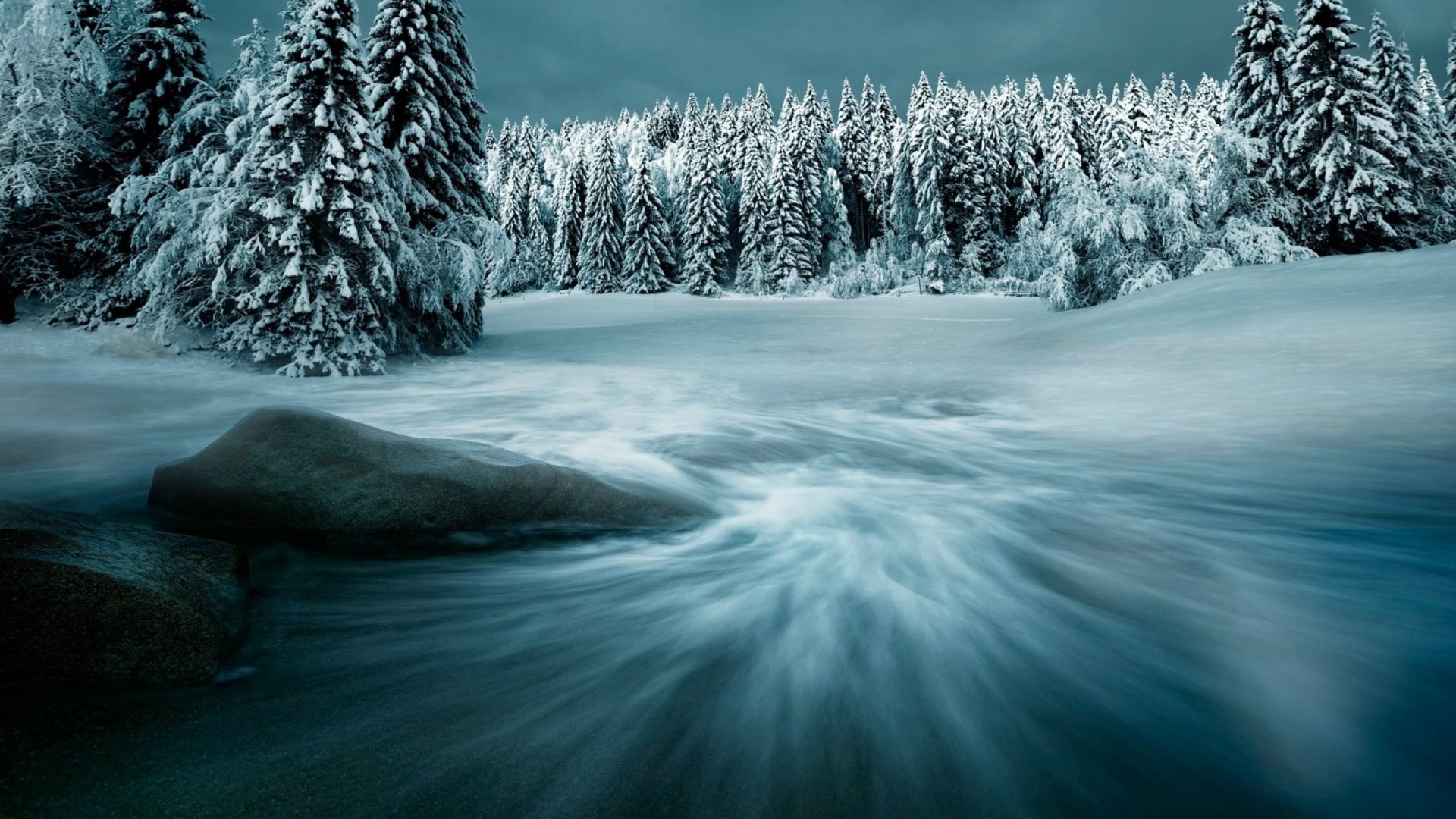 nature, trees, snow, winter, HD Wallpaper