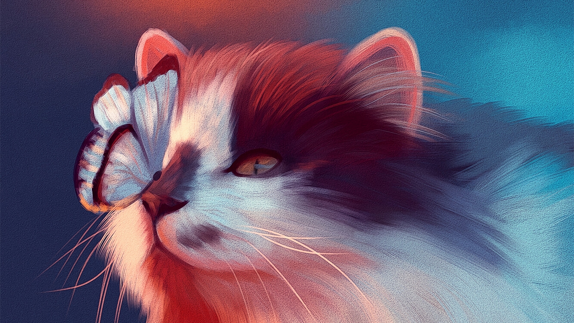frumusete, orange, butterfly, luminos, juliane pilz, white, cat, blue, pisici, HD Wallpaper