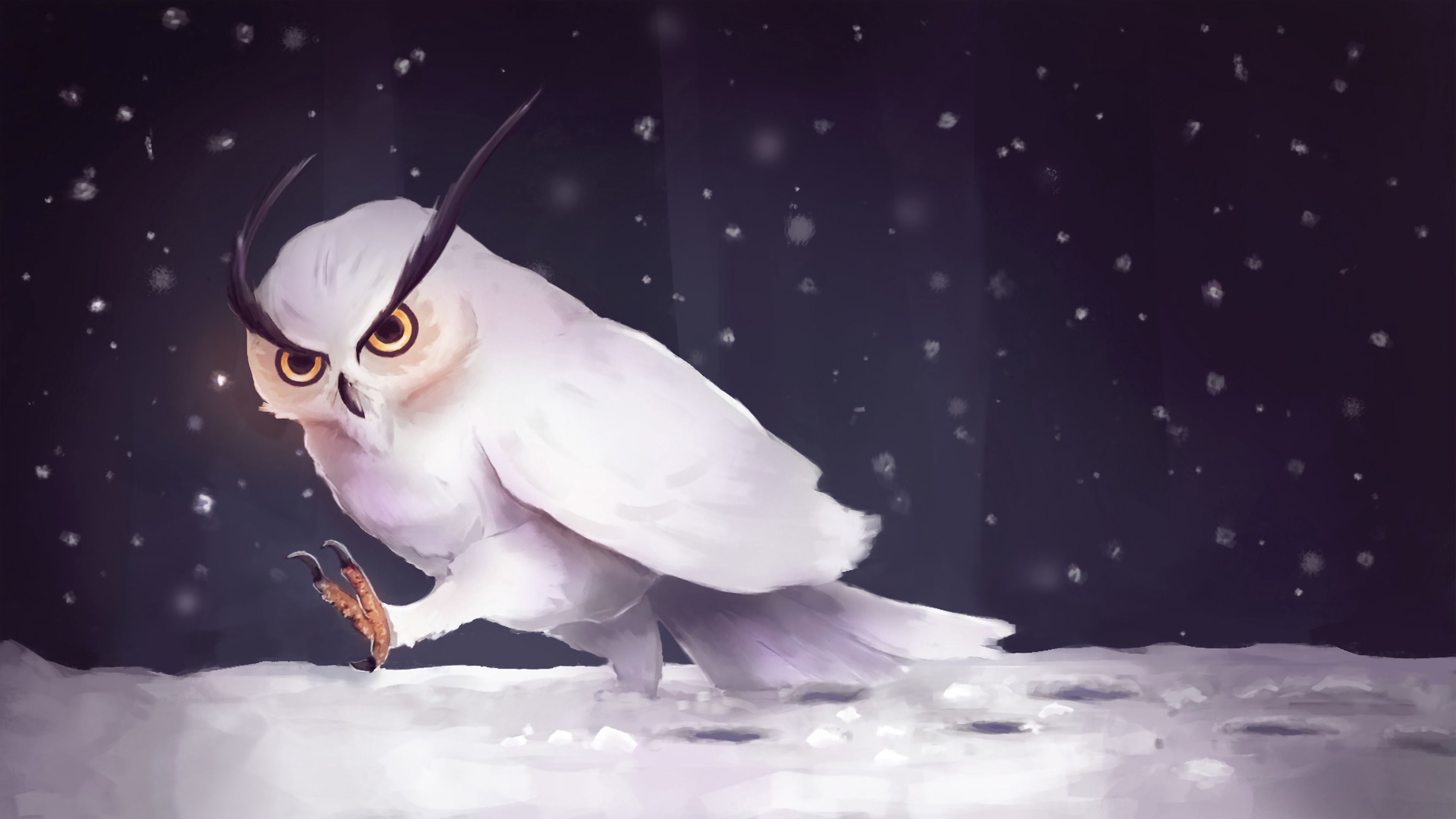 owl, snow, art, snowfall, steps, 4k, HD Wallpaper