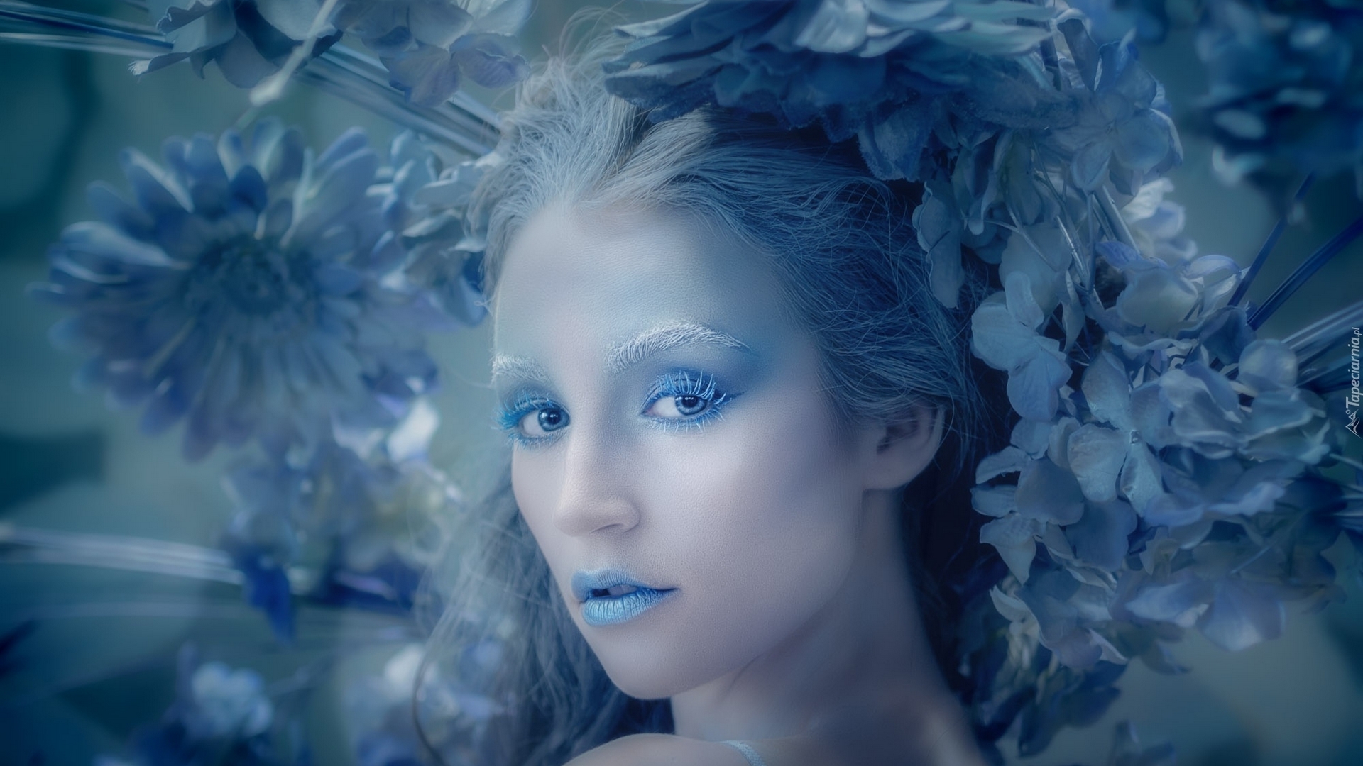 flowers, photography, people, blue, beauty, HD Wallpaper