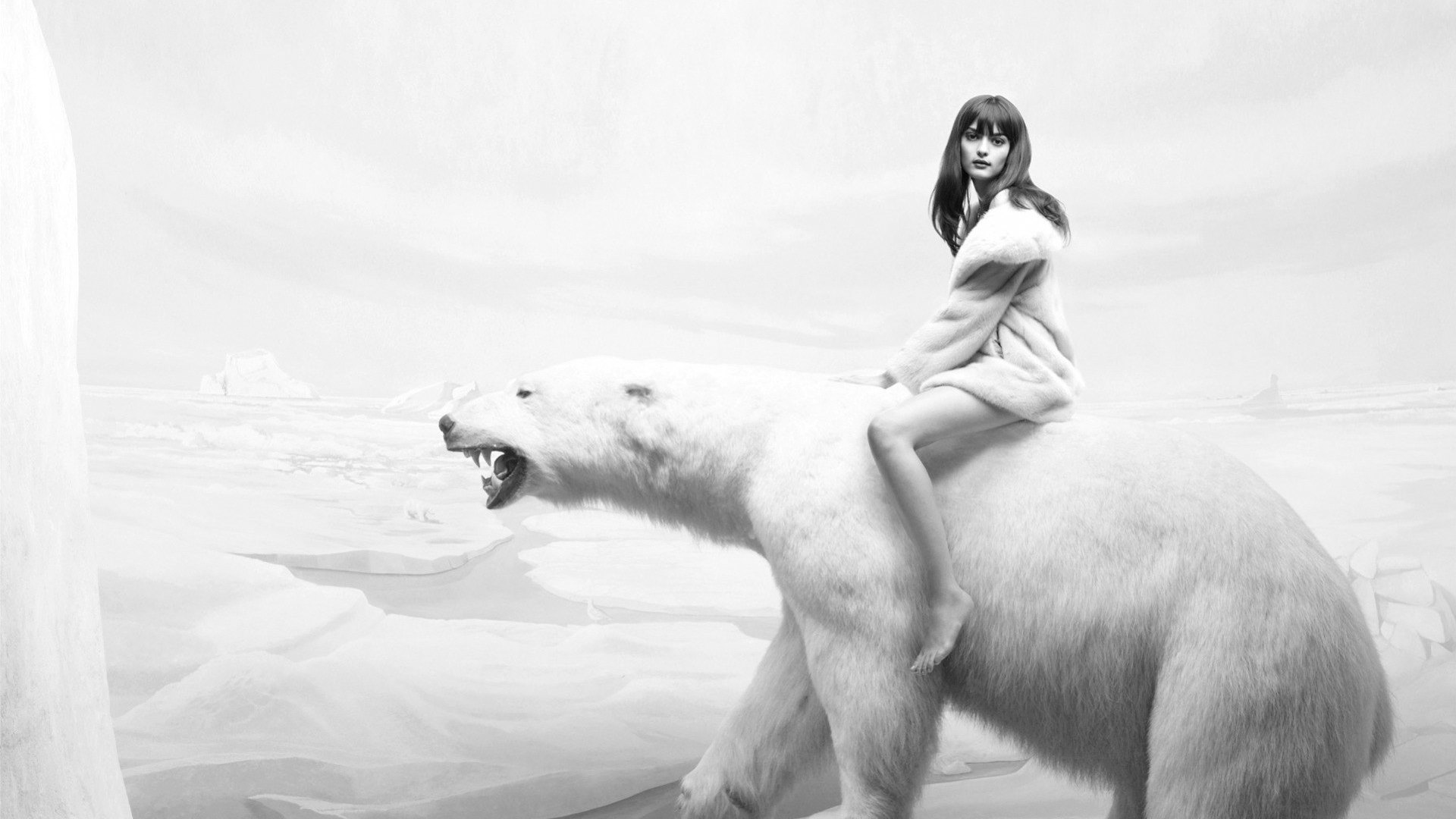 art, arctic, ice bear, black, digital photography, artwork, winter, fantasy, wp, girl, bw, snow, white, HD Wallpaper