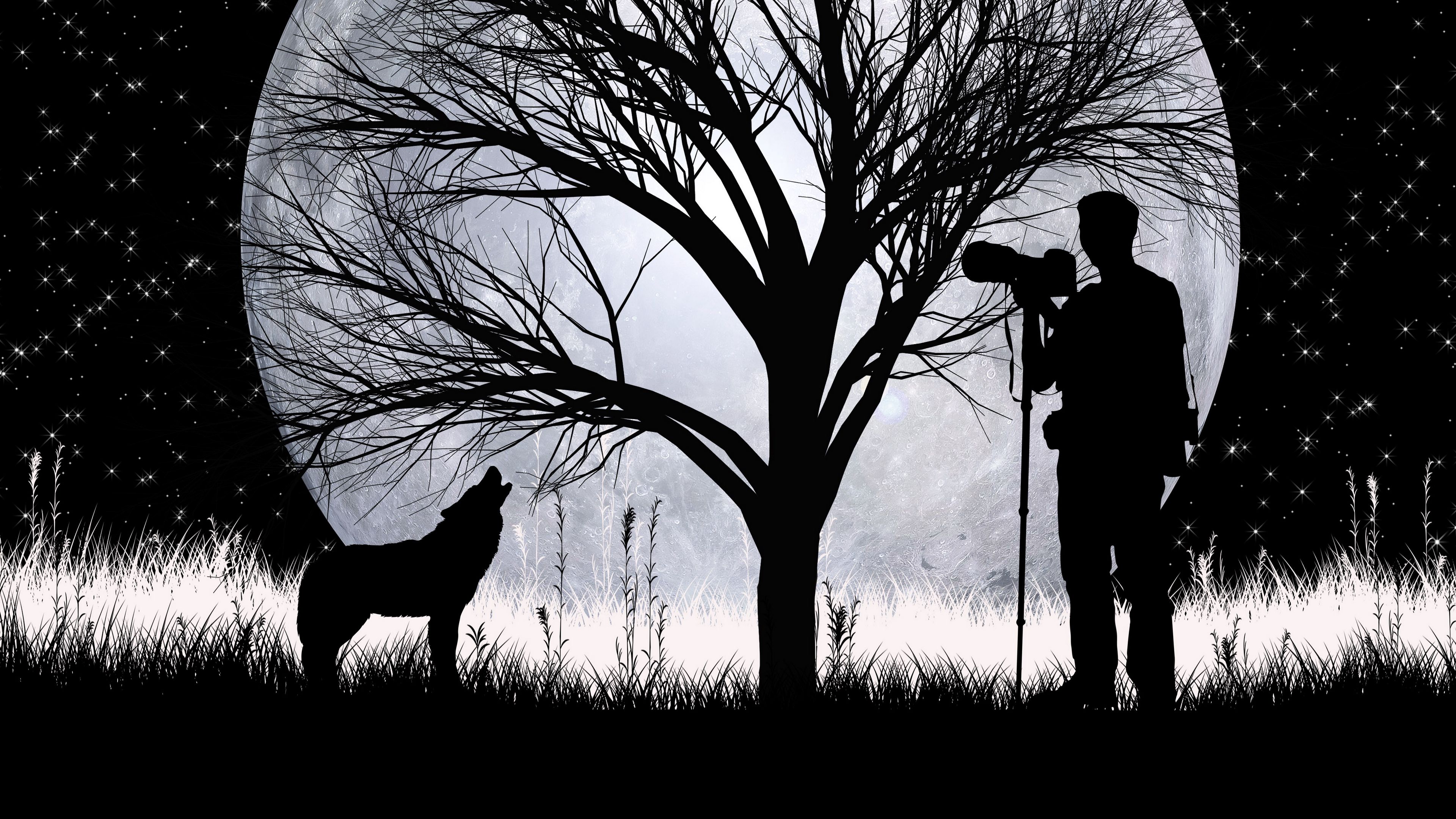 wolf, full moon, silhouettes, art, vector, photographer, 4k, HD Wallpaper