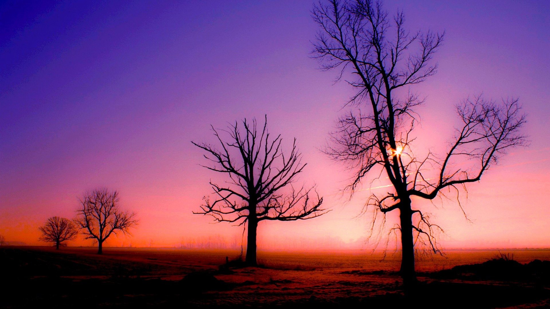 sunrise, morning, trees, light, HD Wallpaper