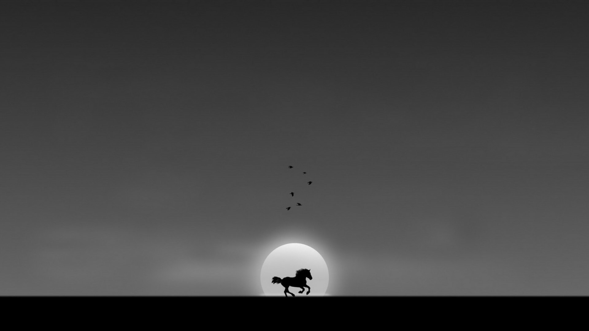 sun, black, horse, abstract, silhouette, fantasy, bird, bw, texture, grey, morning, white, HD Wallpaper