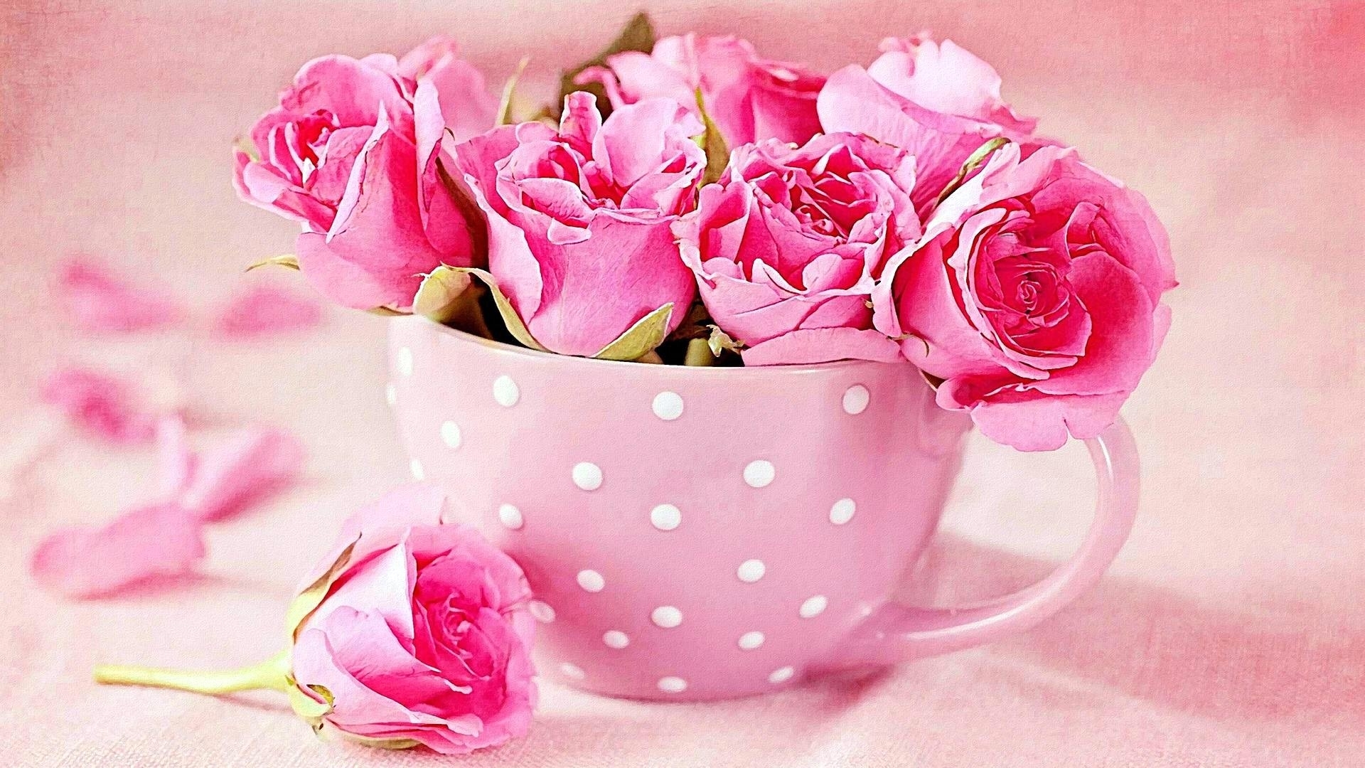 cup, roses, pink, polka dots, HD Wallpaper