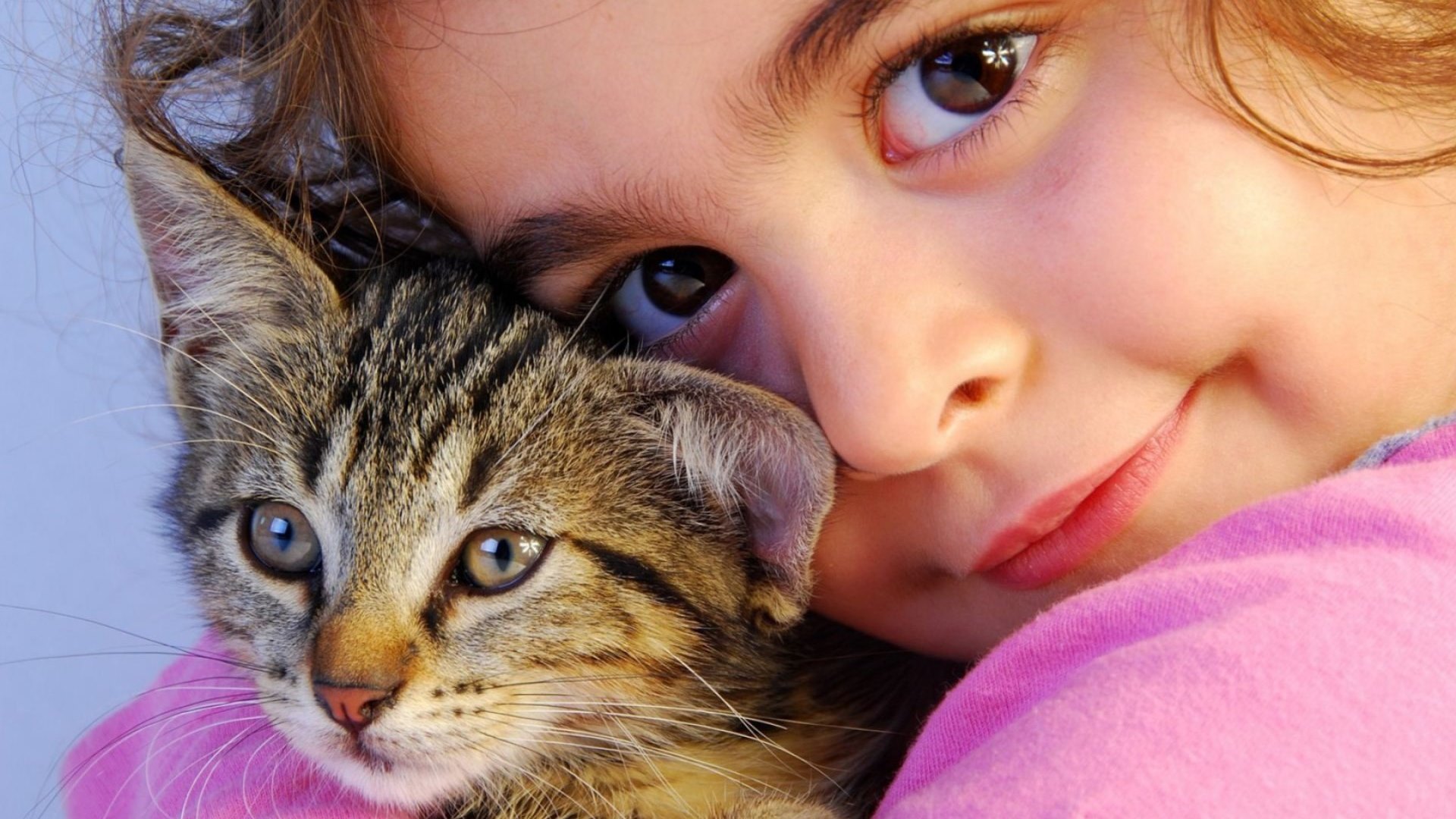girl, beauty, child, cat, kitten, pink, animal, HD Wallpaper