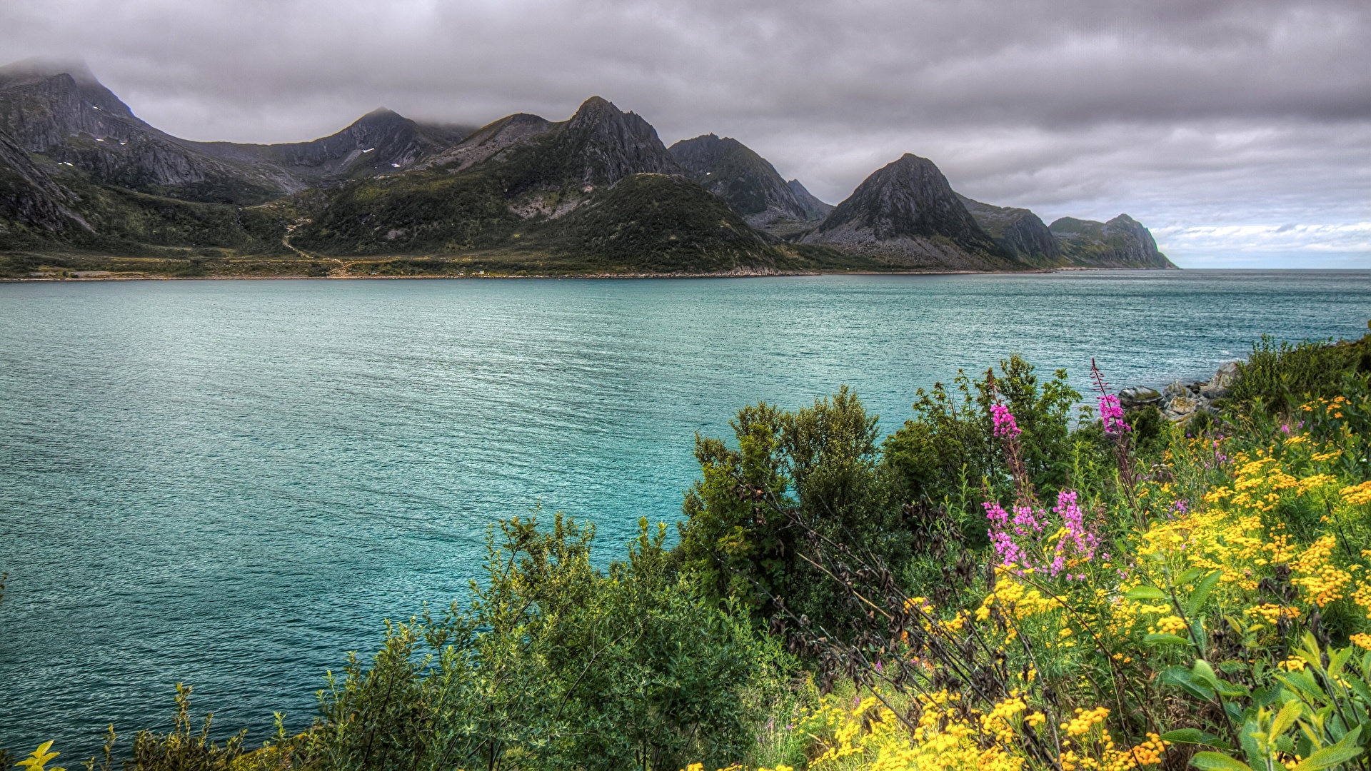 wildflowers, mountains, water, nature, river, sky, HD Wallpaper