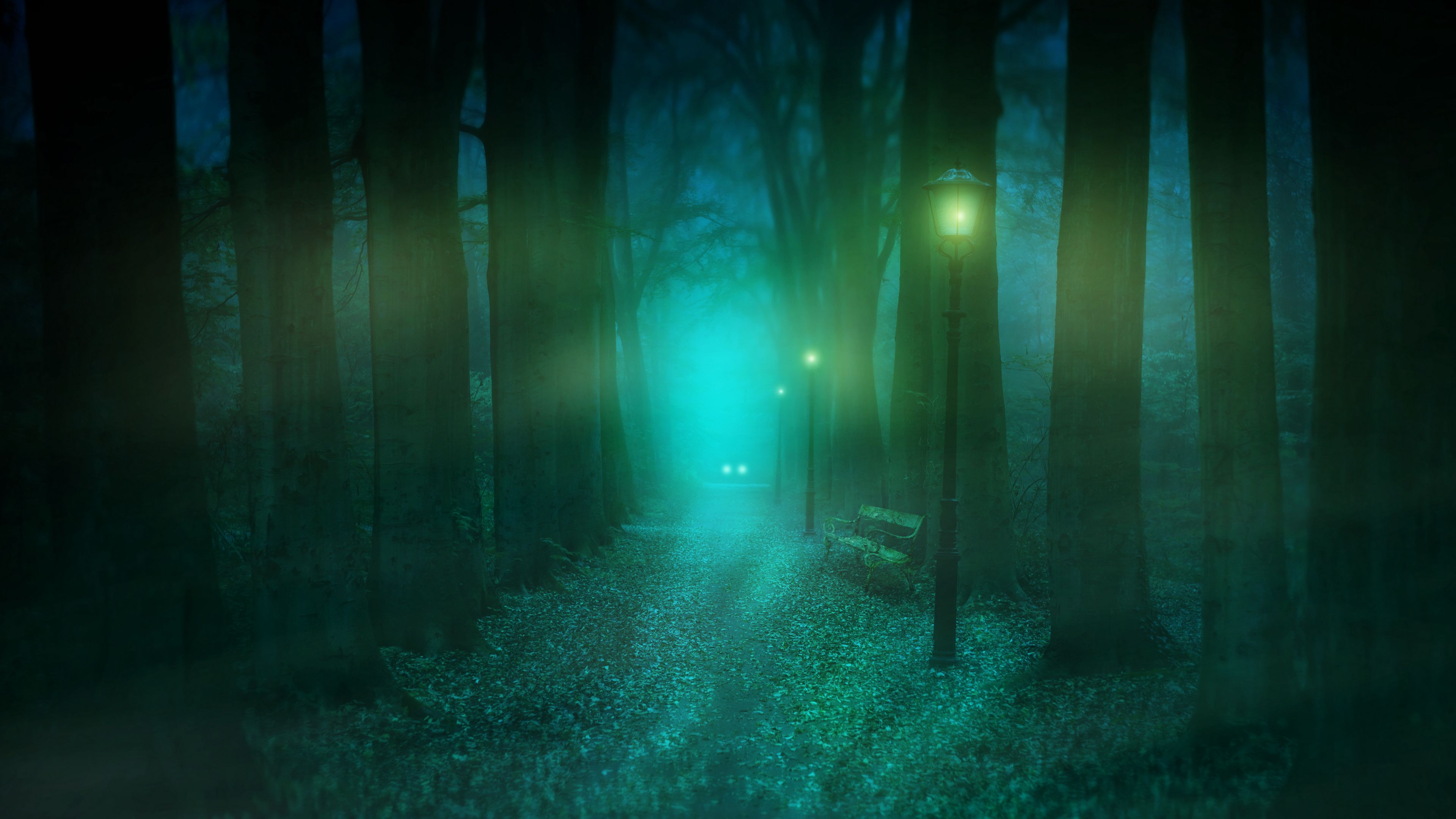 park, fog, lantern, bench, mystical, 4k, HD Wallpaper