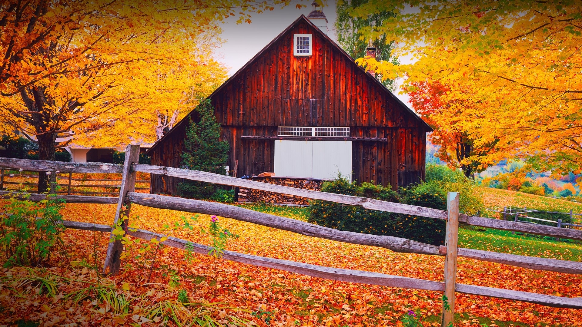fence, leaves, autumn, trees, barn, HD Wallpaper