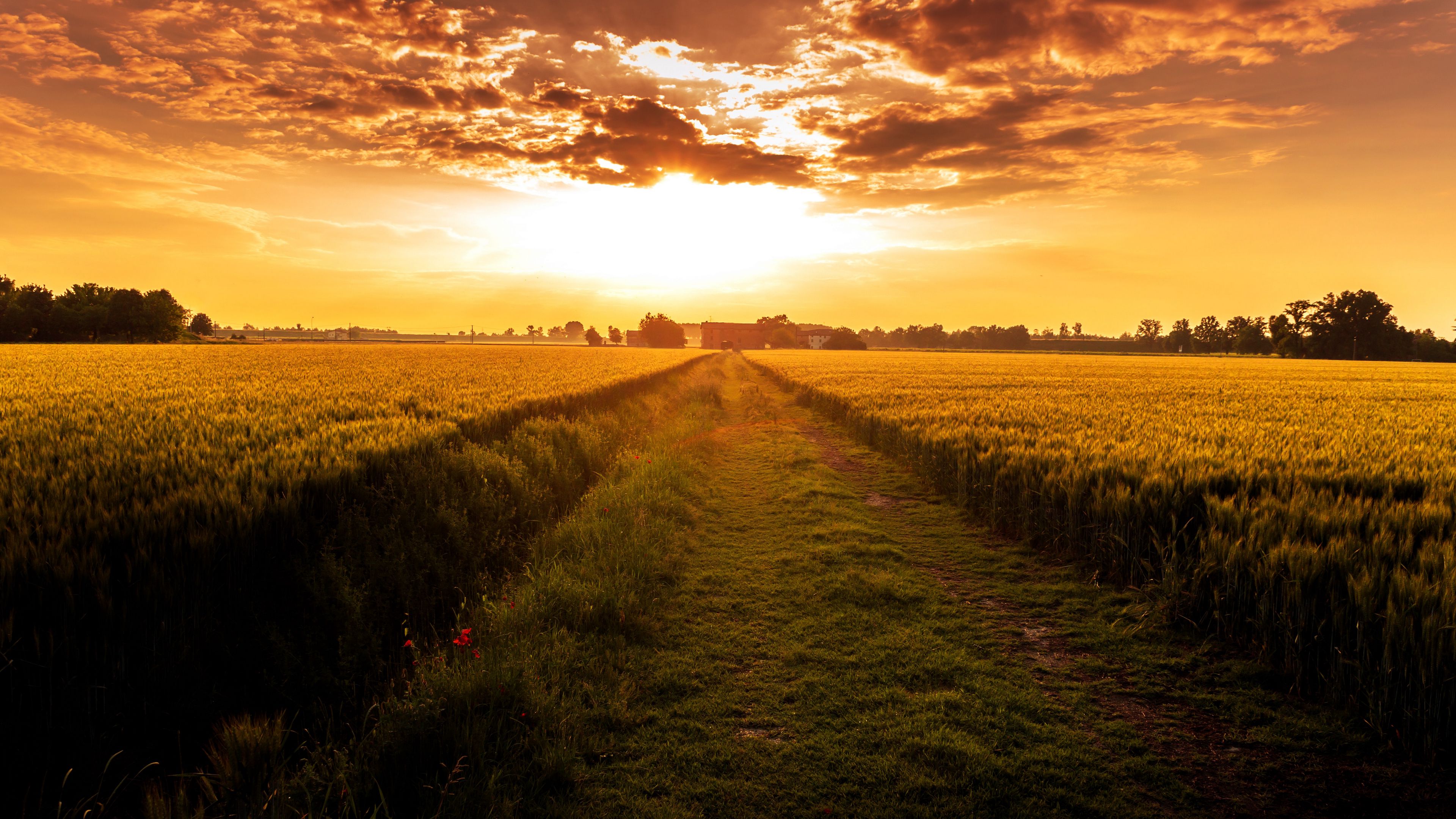 field, path, sunset, horizon, 4k, HD Wallpaper