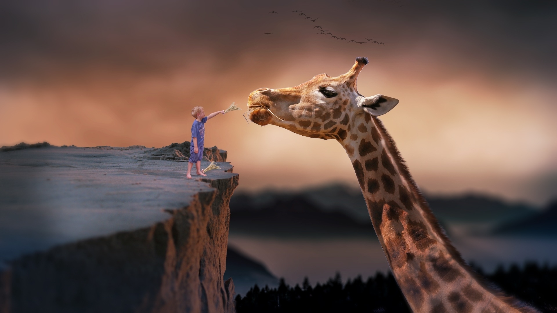zebra, animal, boy, mountains, twilight, cliff, HD Wallpaper