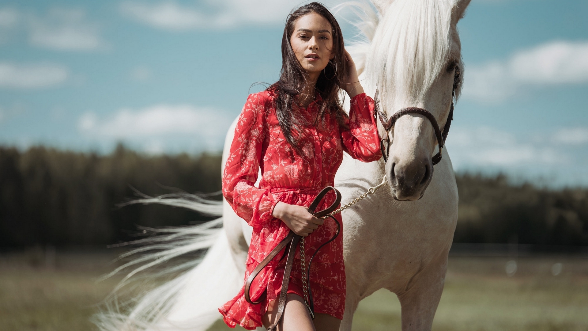 wind, red, dress, girl, model, white, horse, woman, HD Wallpaper