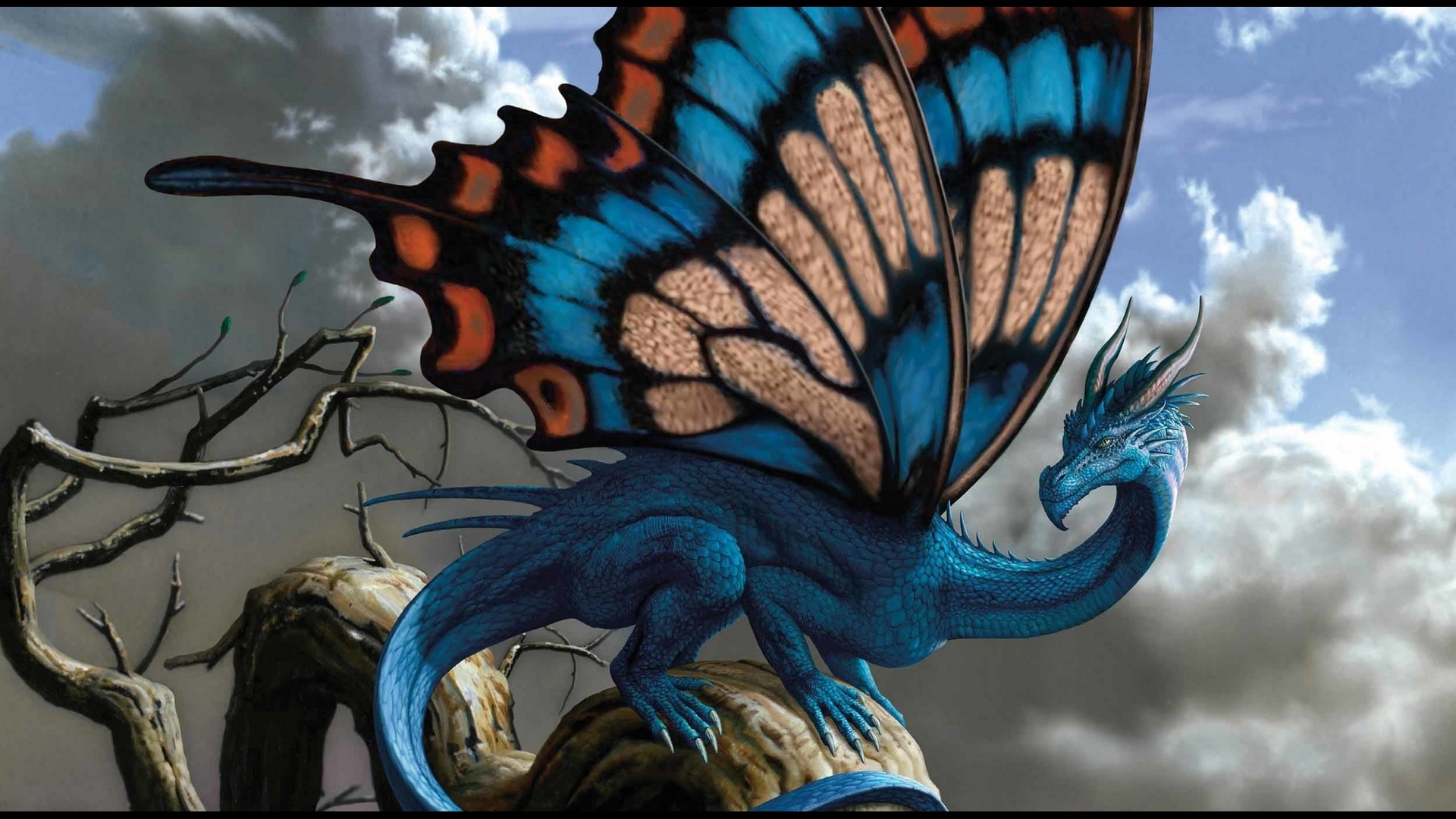 fantasy, wings, luminos, orange, butterfly, dragon, blue, HD Wallpaper