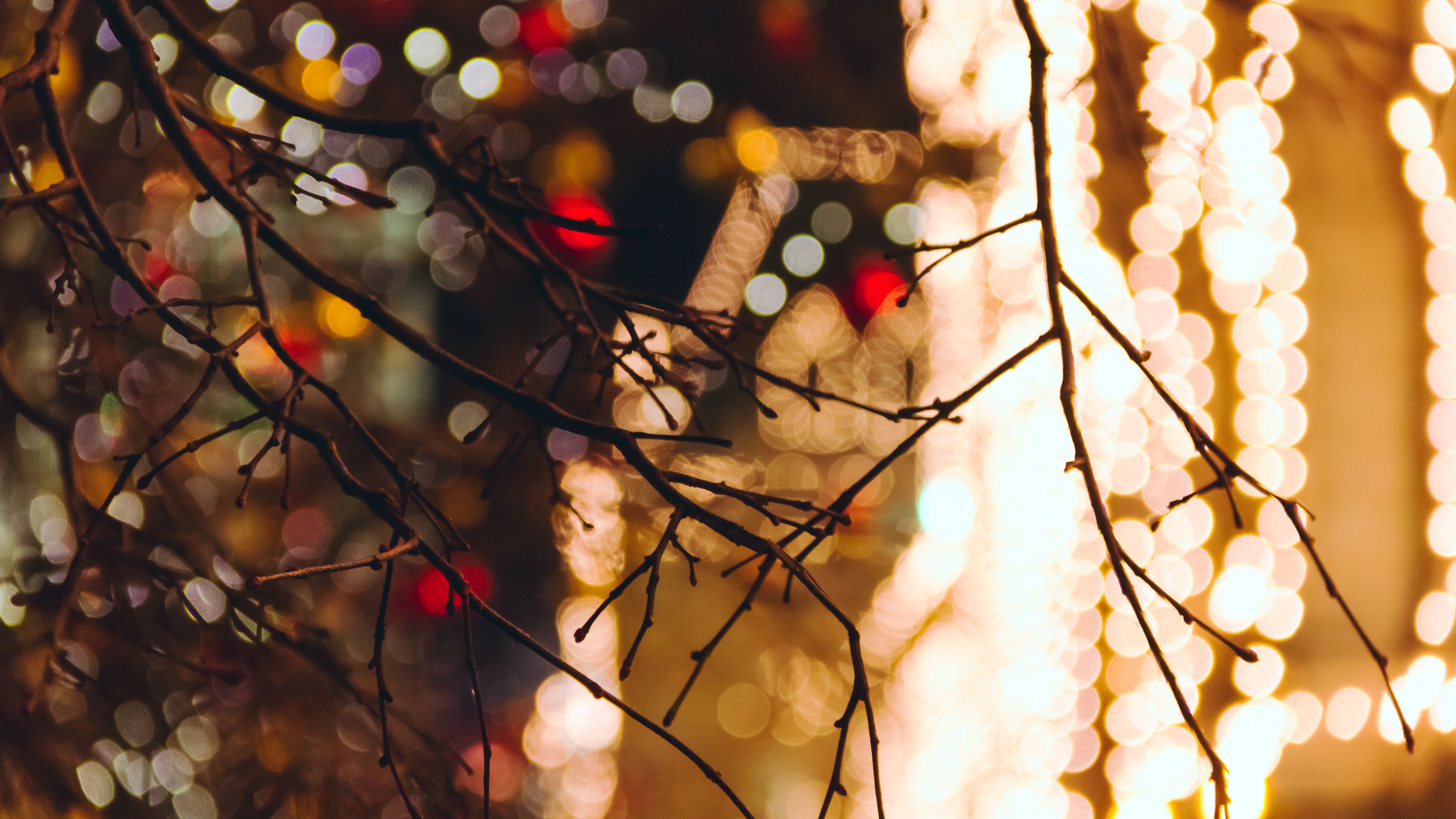 branches, blur, glare, 4k, HD Wallpaper