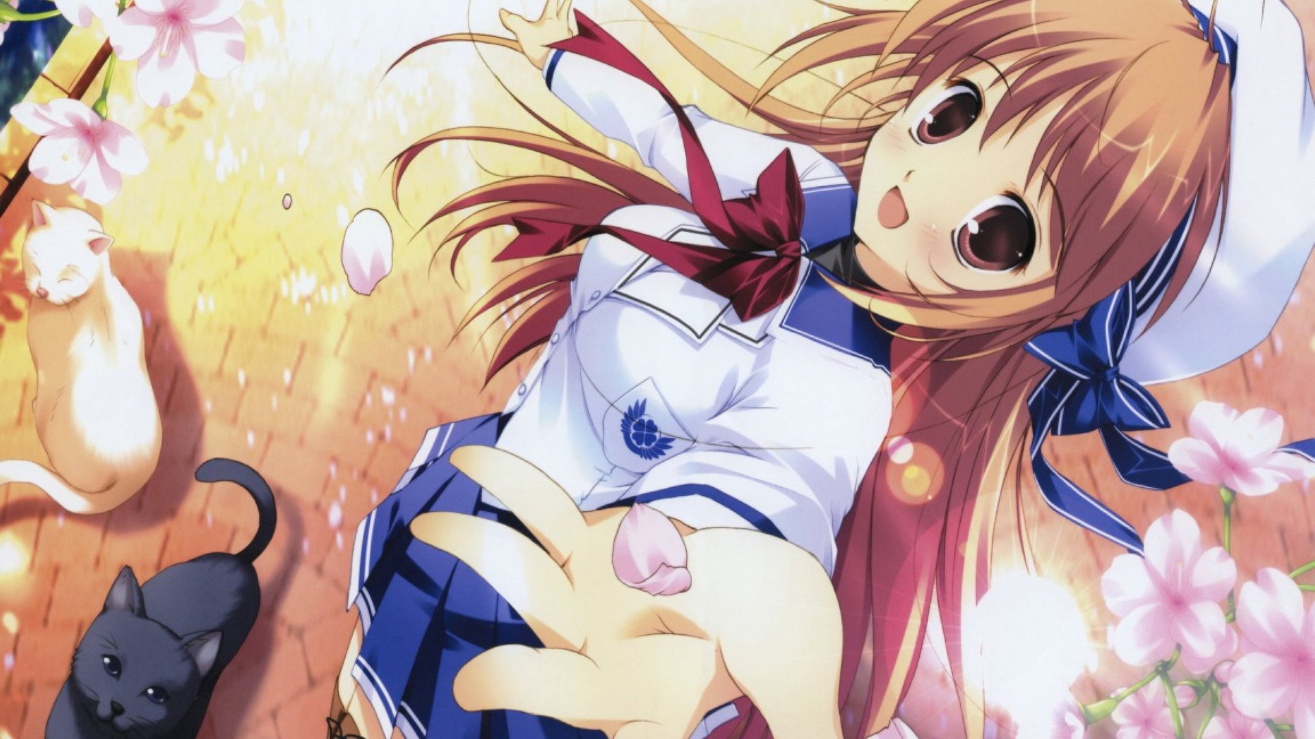 bow, cherry blossom, sweet, hot, mikeou seifuku, anime girl, long hair, school uniform, female, brown hair, sexy, cat, hat, happy, cute, cool, flower, petals, HD Wallpaper