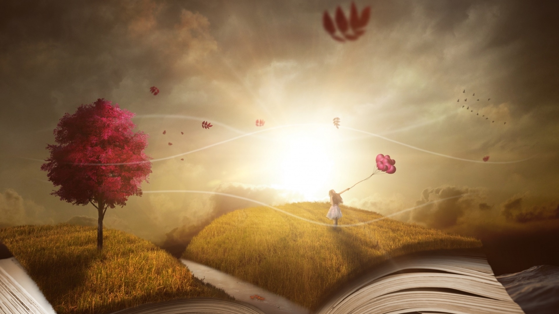 fall, sun, autumn, birds, trees, clouds, sky, leaves, girl, balloons, boook, HD Wallpaper