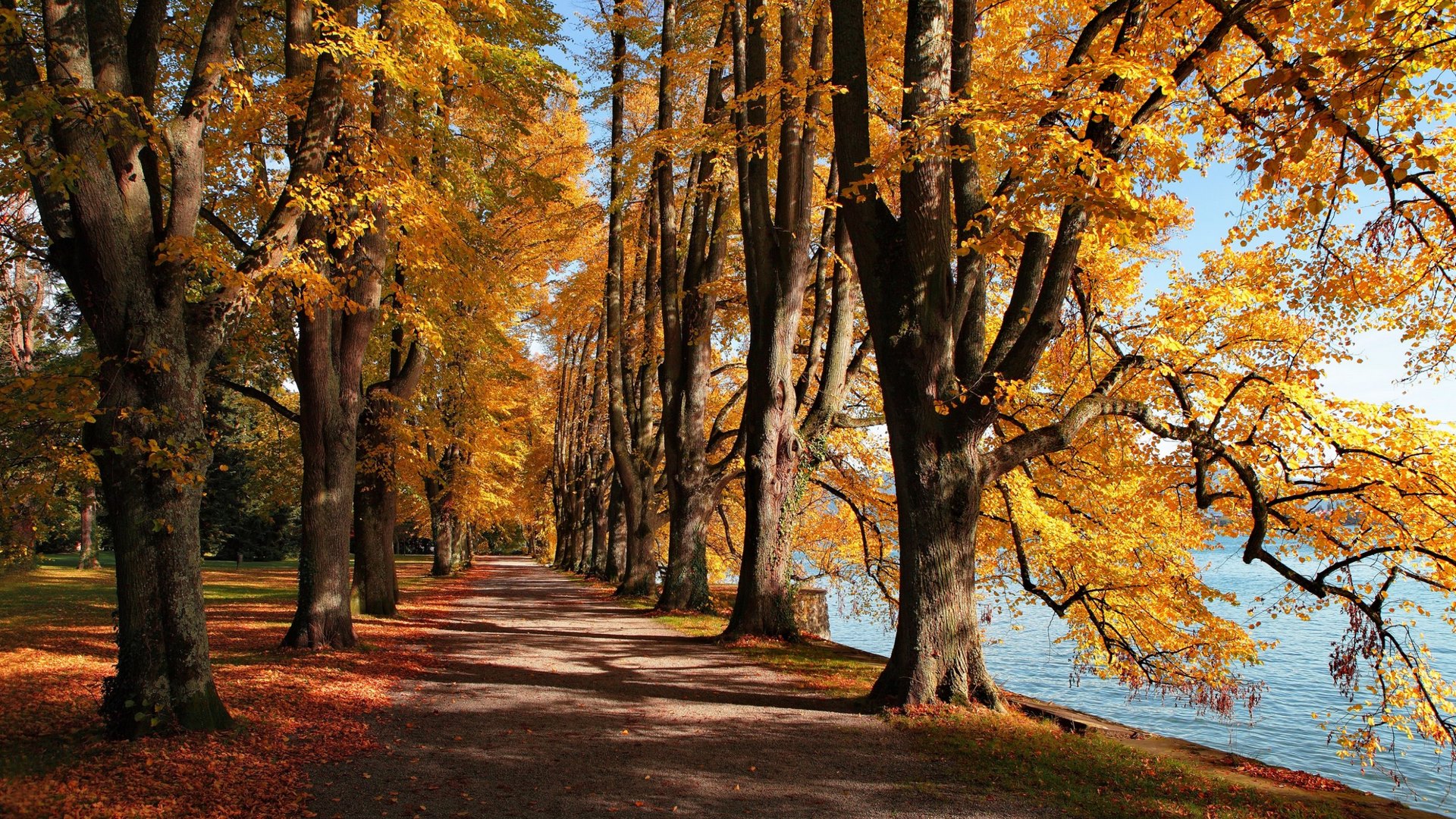 lalke, nature, park, trees, HD Wallpaper