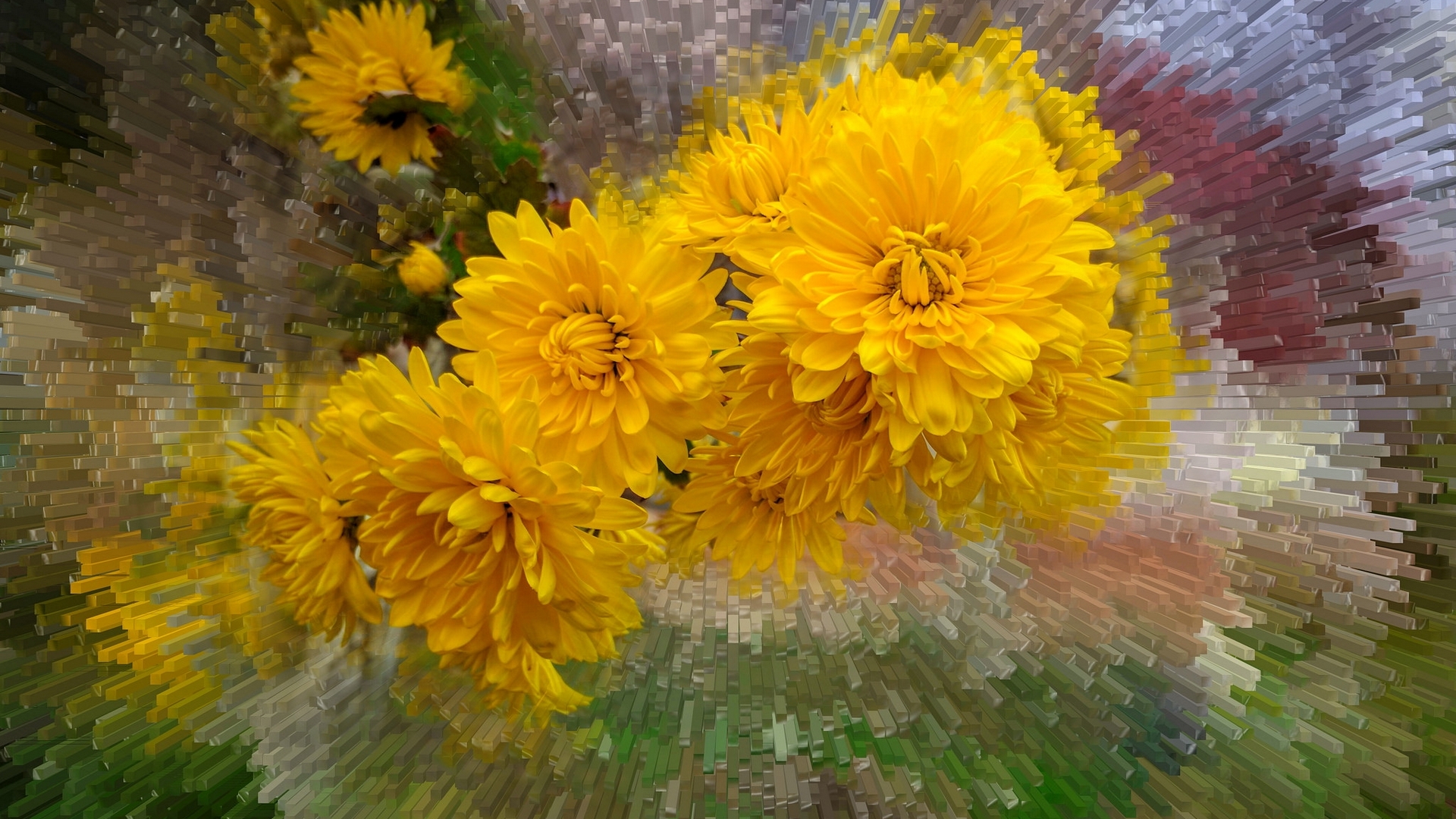 pretty, fantasy, lovely, flowers, yellow, beautiful, HD Wallpaper