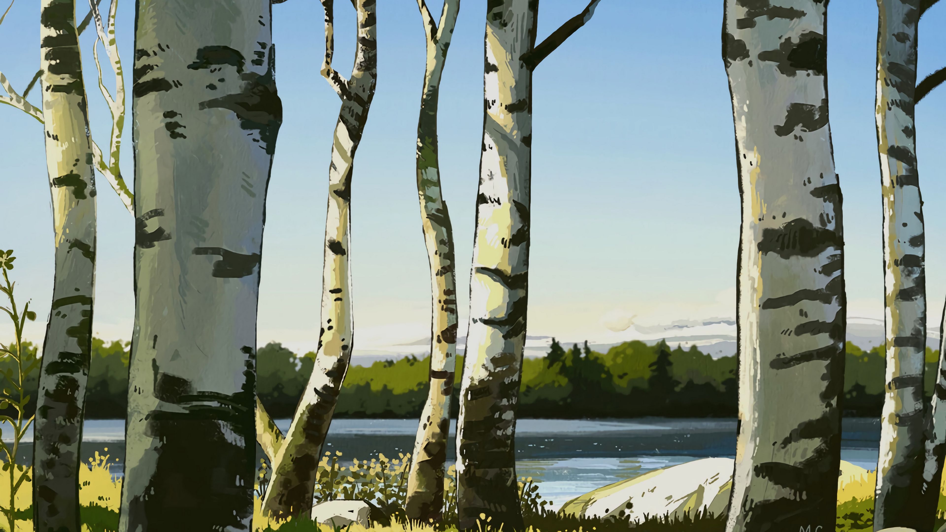 birches, trees, art, 4k, HD Wallpaper