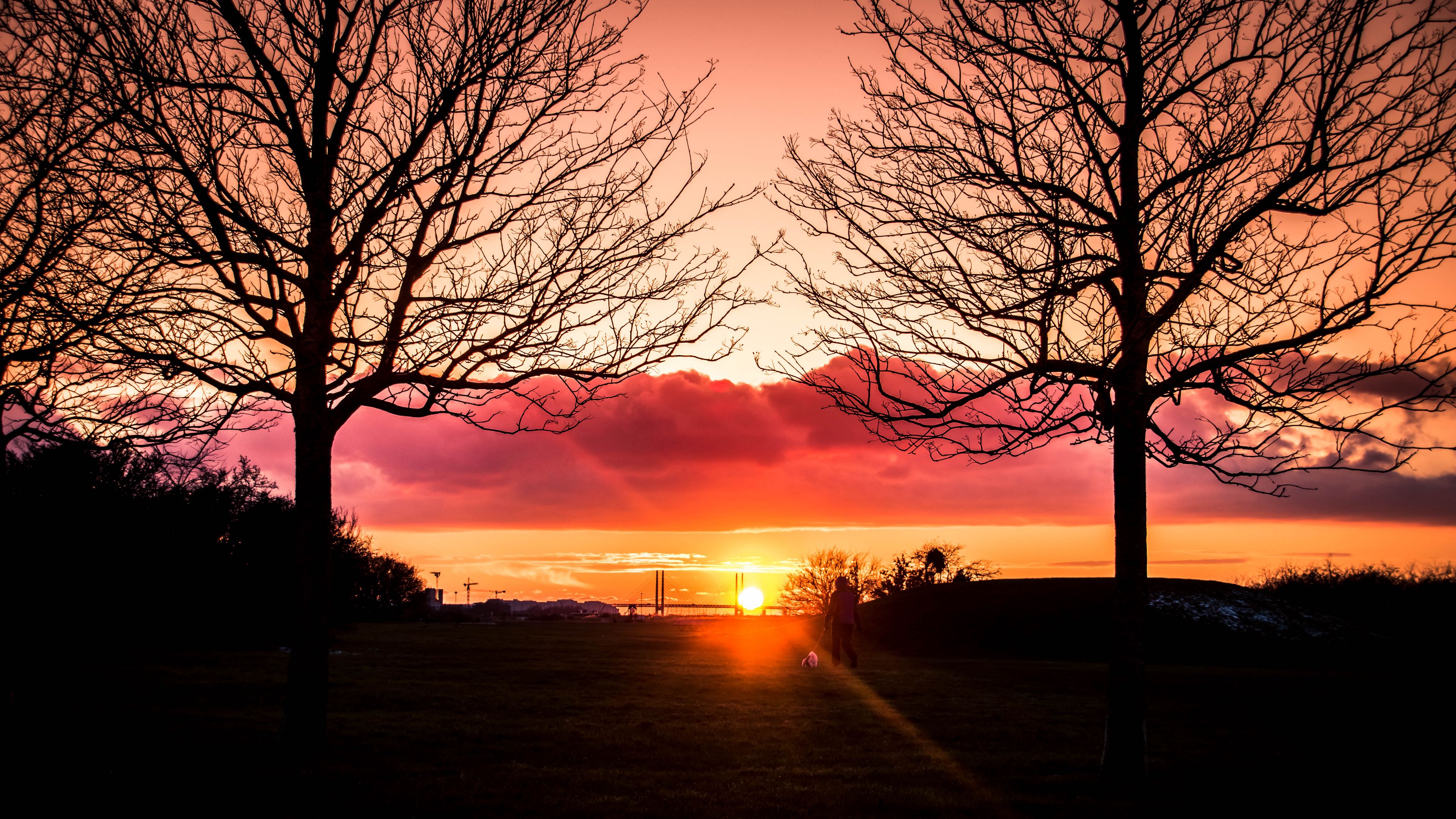silhouette, sunset, alone, solitude, horizon, 4k, HD Wallpaper