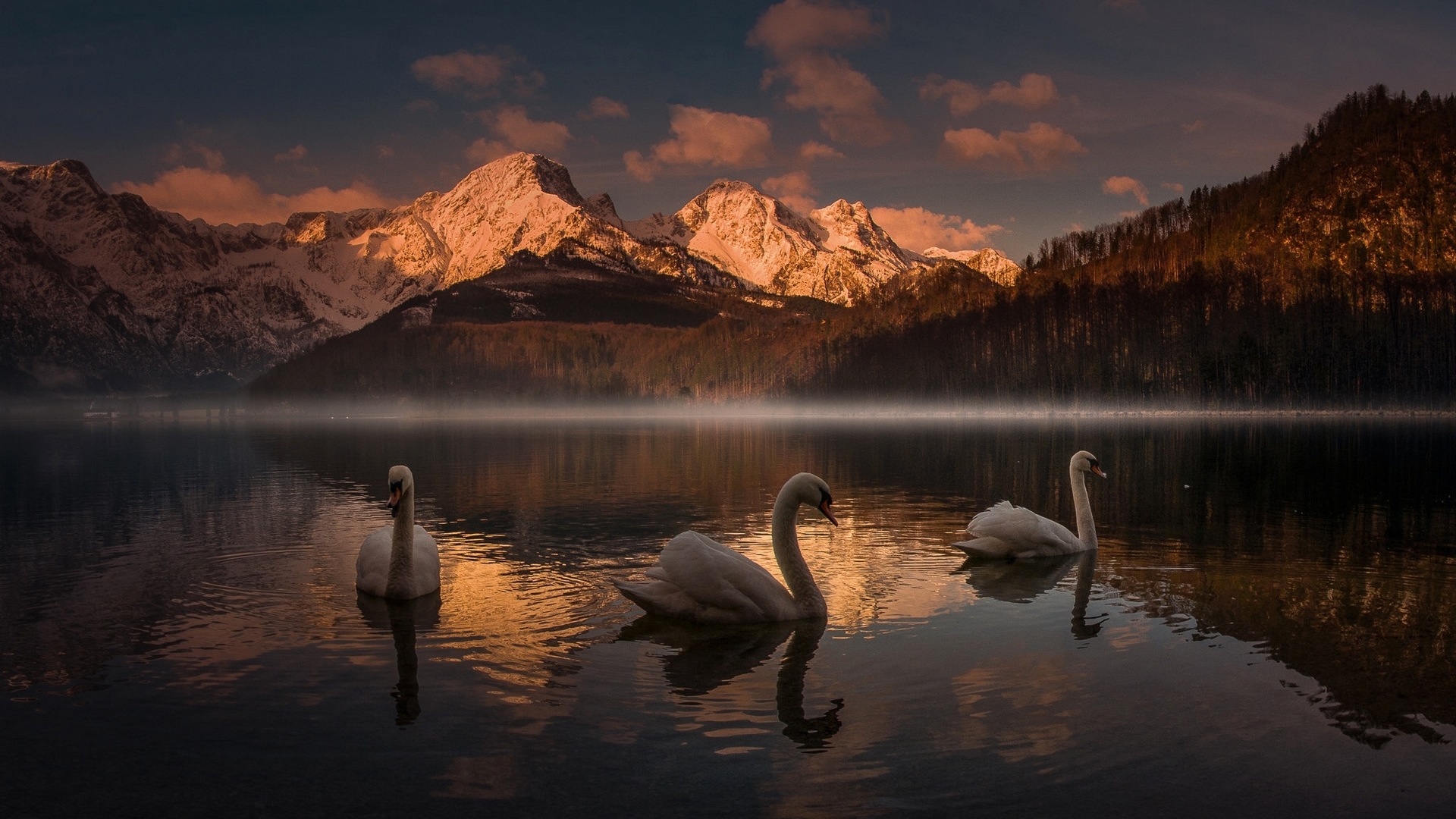 mountain, friedrich beren, water, bird, pasari, sunset, lebada, swan, HD Wallpaper