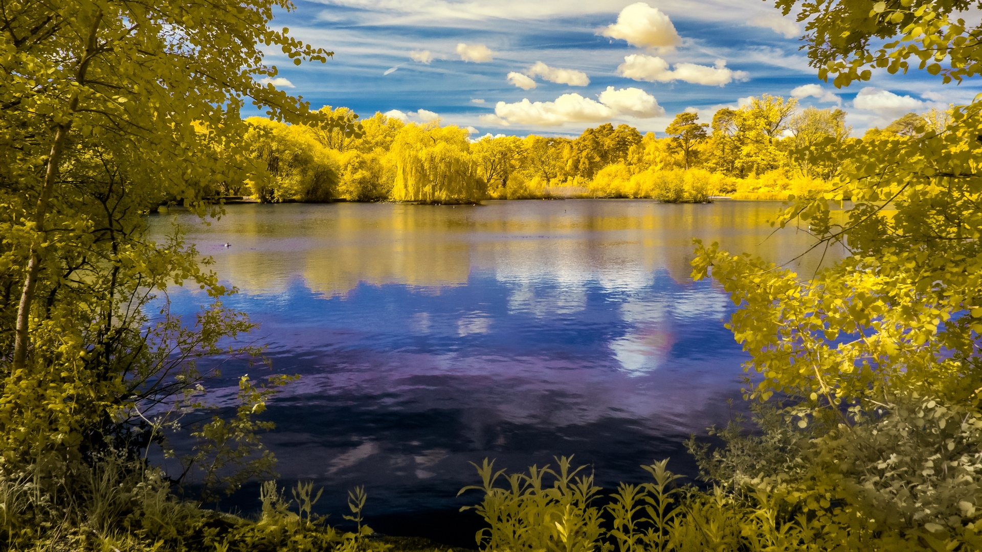 forest, green, nature, reflection, trees, clouds, lake, HD Wallpaper