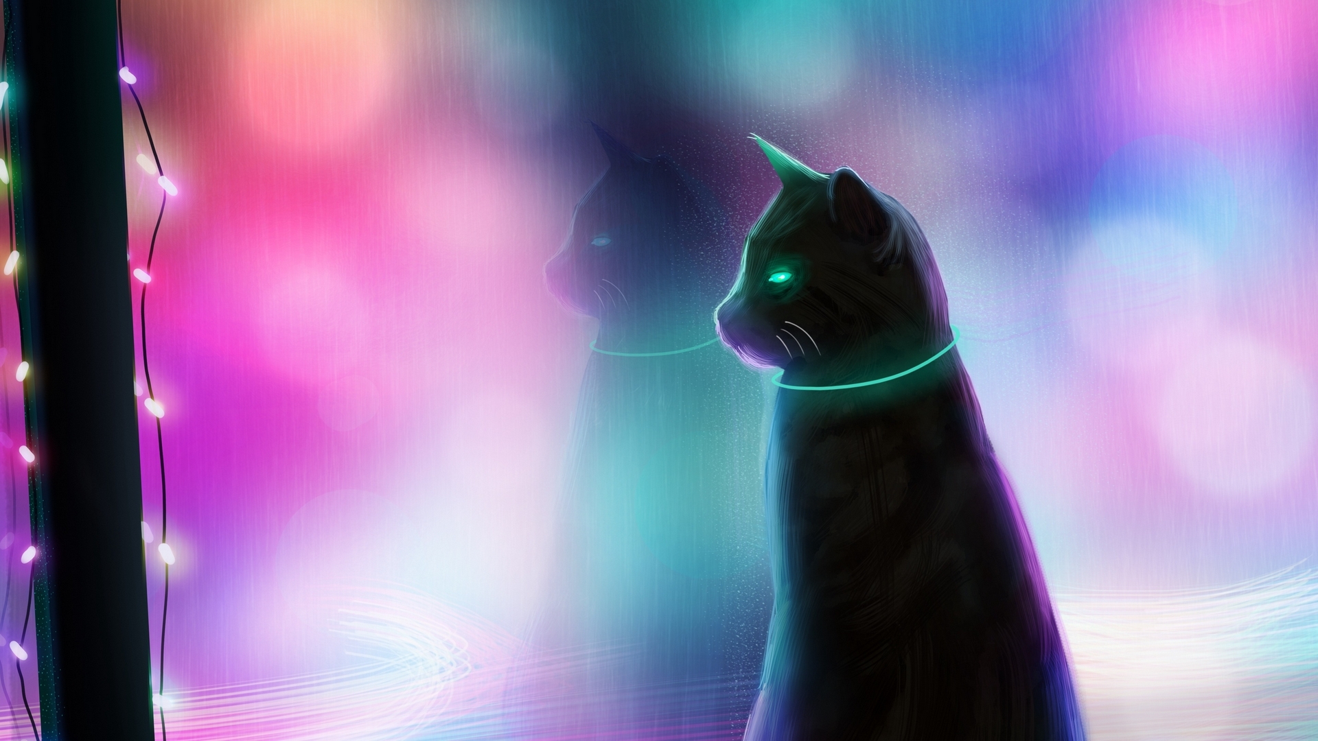 fanrasy, rico de zoysa, black, pink, cat, pisici, lights, blue, garland, HD Wallpaper