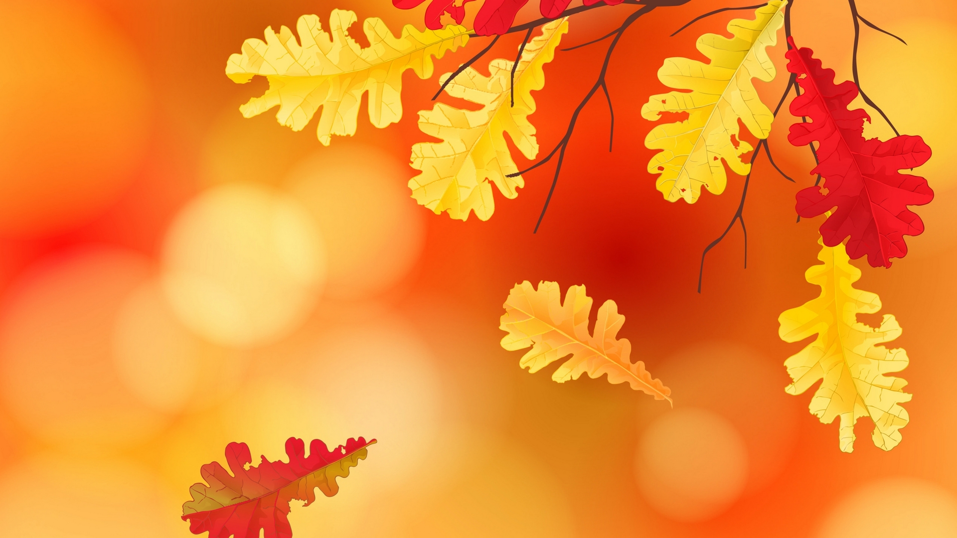 fall, bokeh, autumn, orange, texture, yellow, skin, leaf, frunza, HD Wallpaper