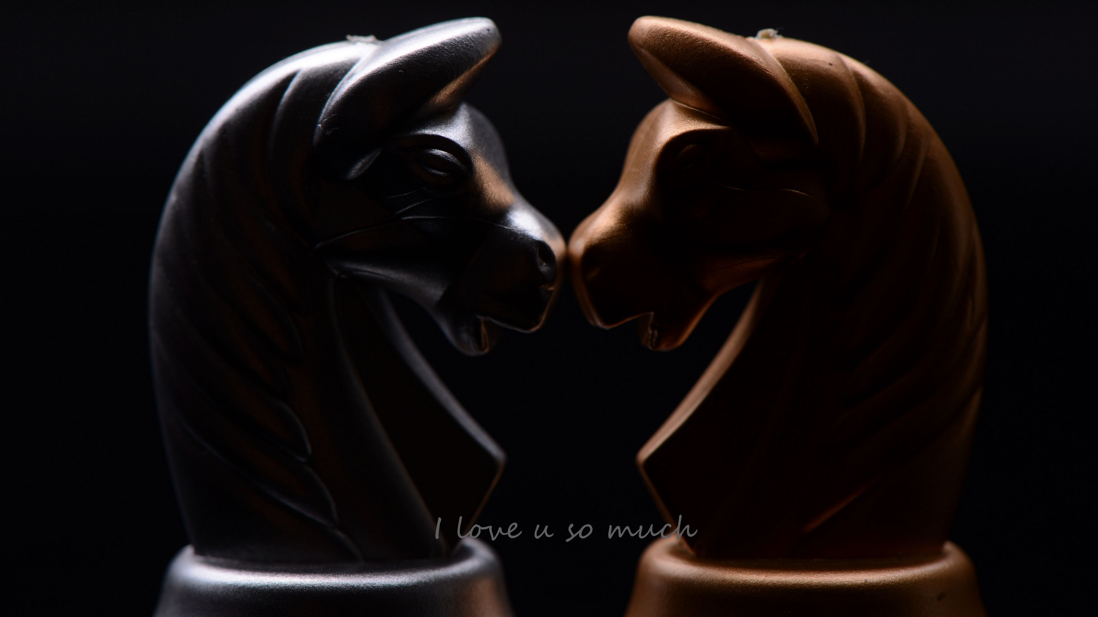 chess, knight, inscription, love, 4k, HD Wallpaper