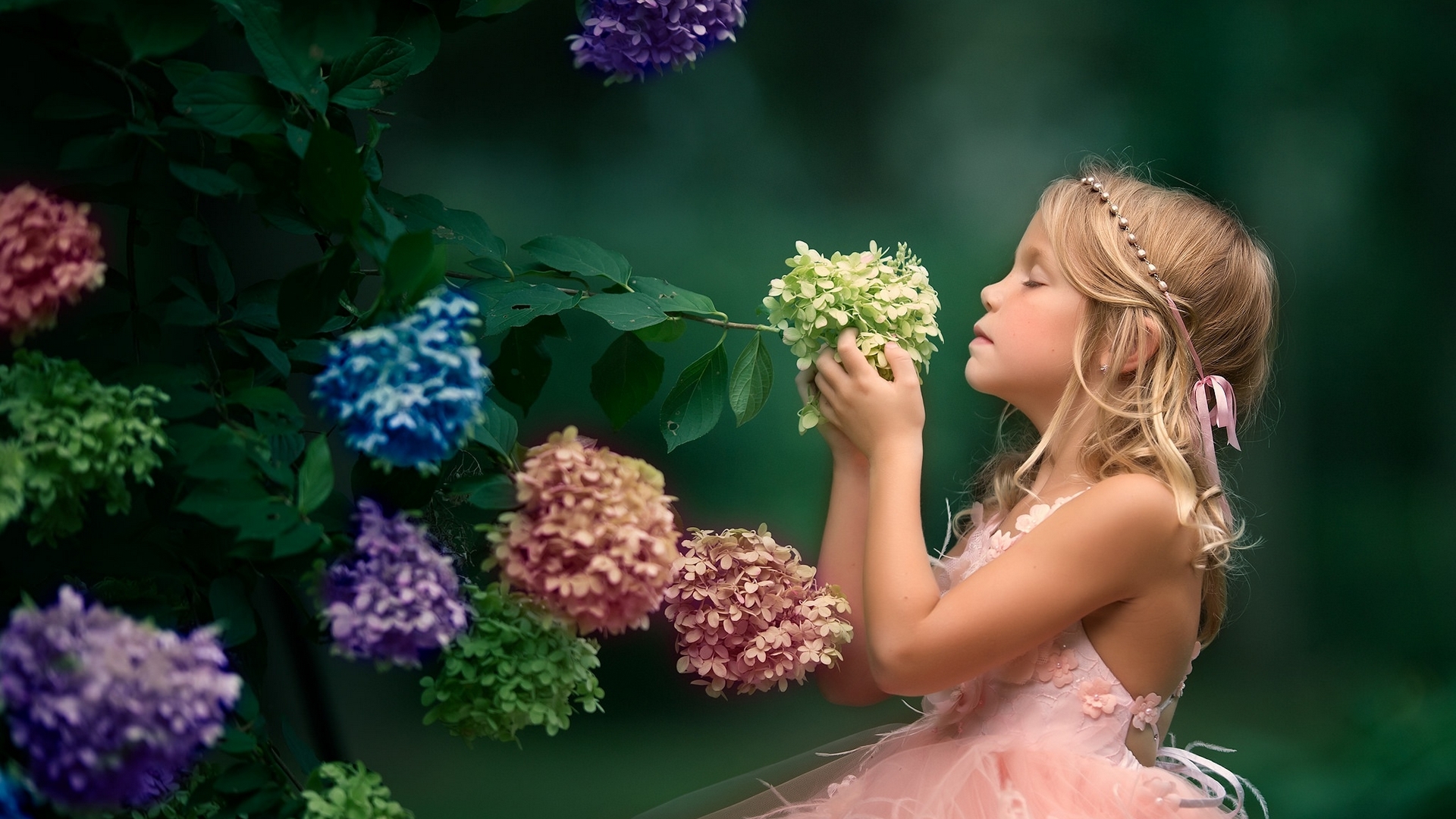 dress, hydrangea, little, girl, green, purple, flower, copil, child, pink, blue, HD Wallpaper