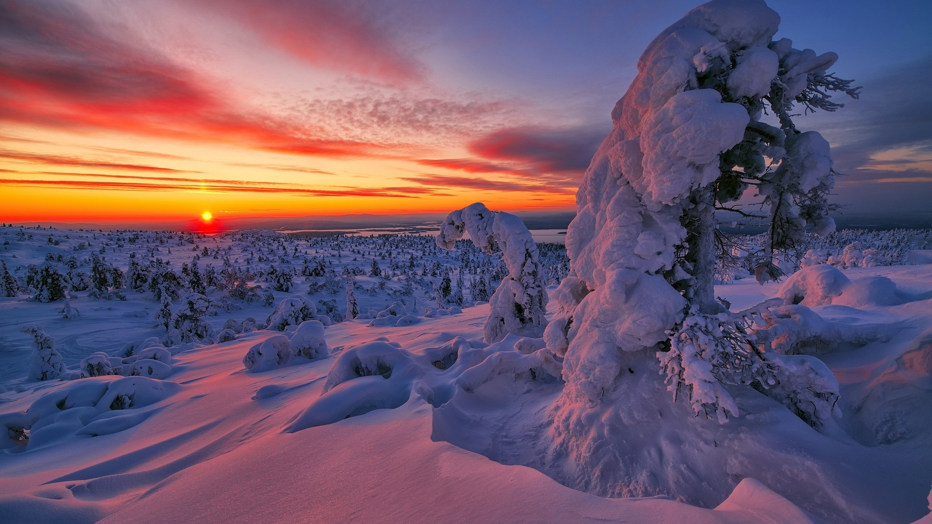 sunset, nature, snow, winter, HD Wallpaper
