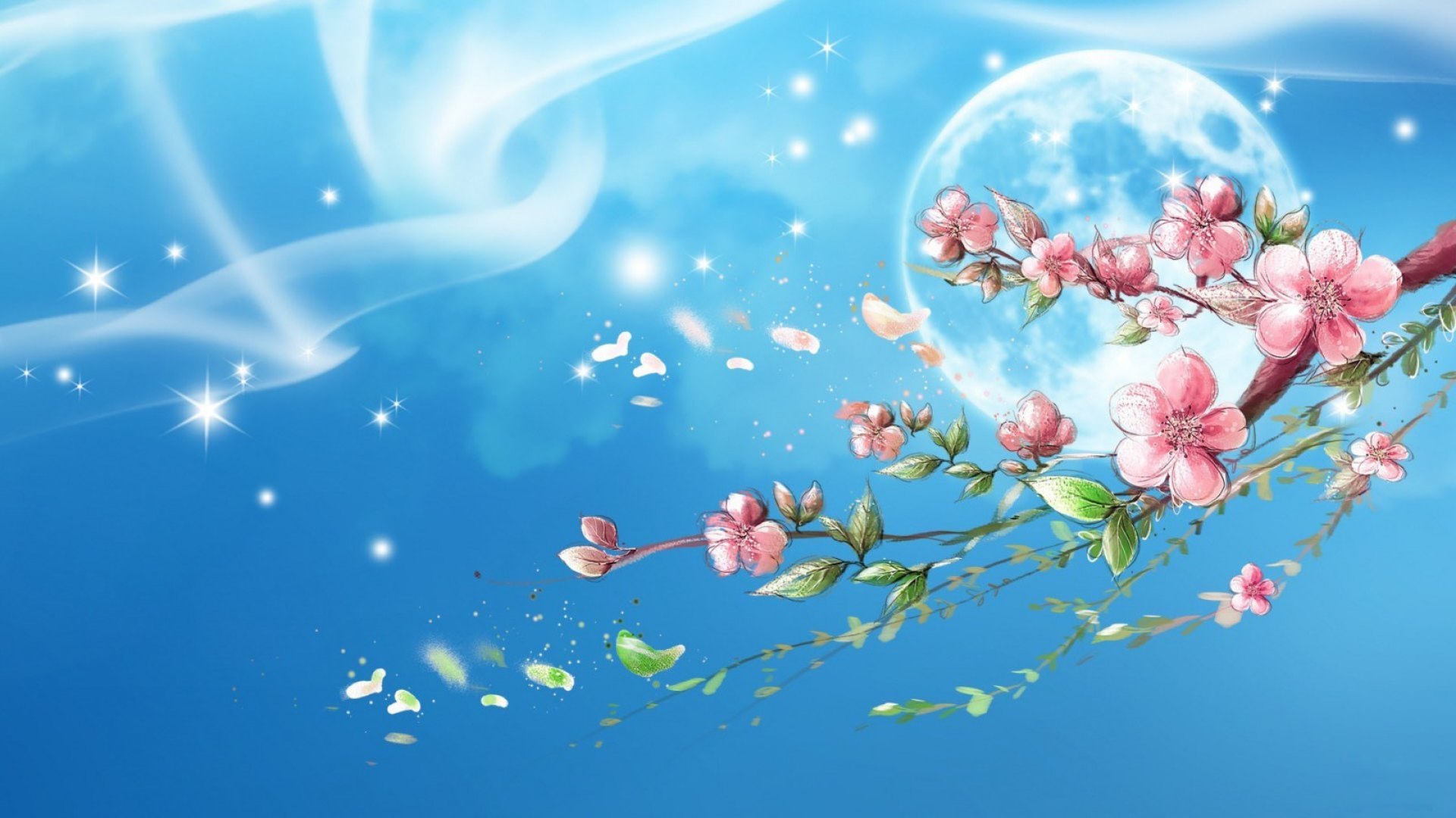 flower, flowers, nature, spring, HD Wallpaper