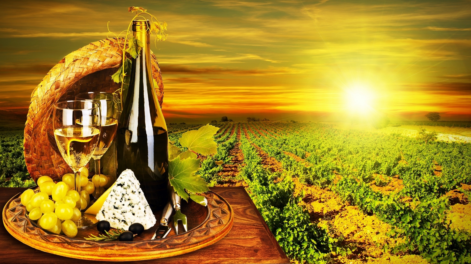 outdoor, field, sunrise, wine, HD Wallpaper