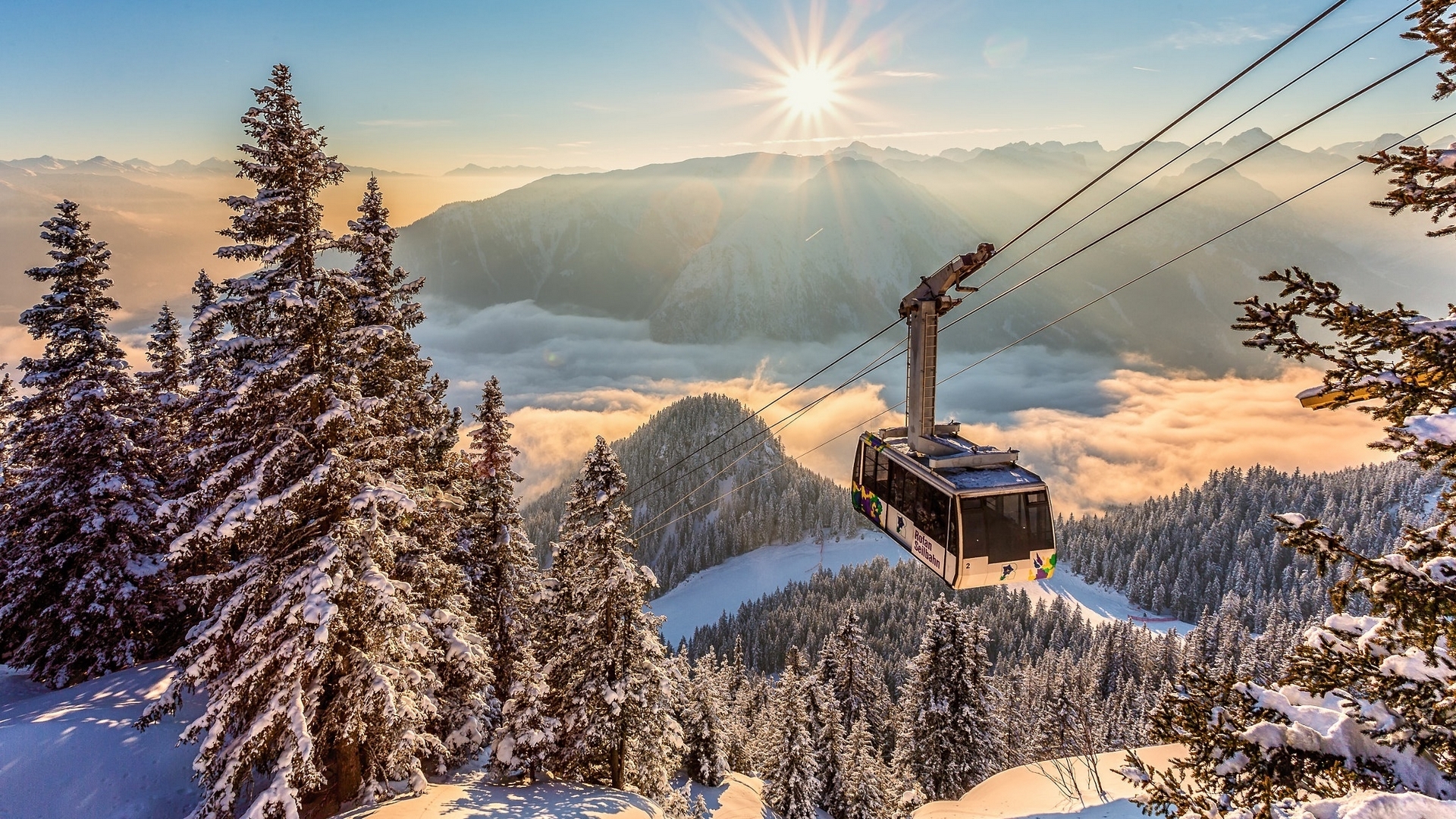 alps, snow, mountains, firs, landscape, HD Wallpaper