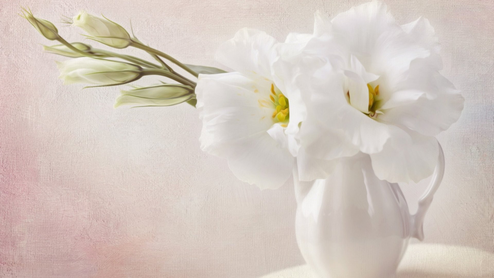 white pitcher, white flowers, flowers, nature, white vase, HD Wallpaper