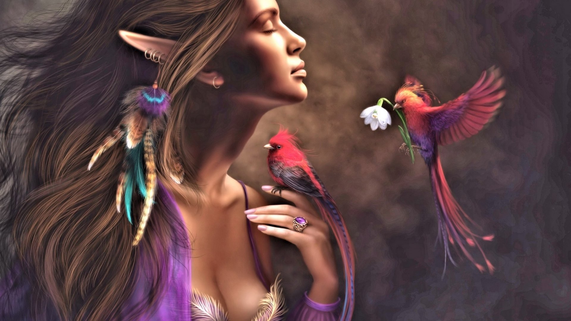 pretty, bird, fantasy, elf, HD Wallpaper
