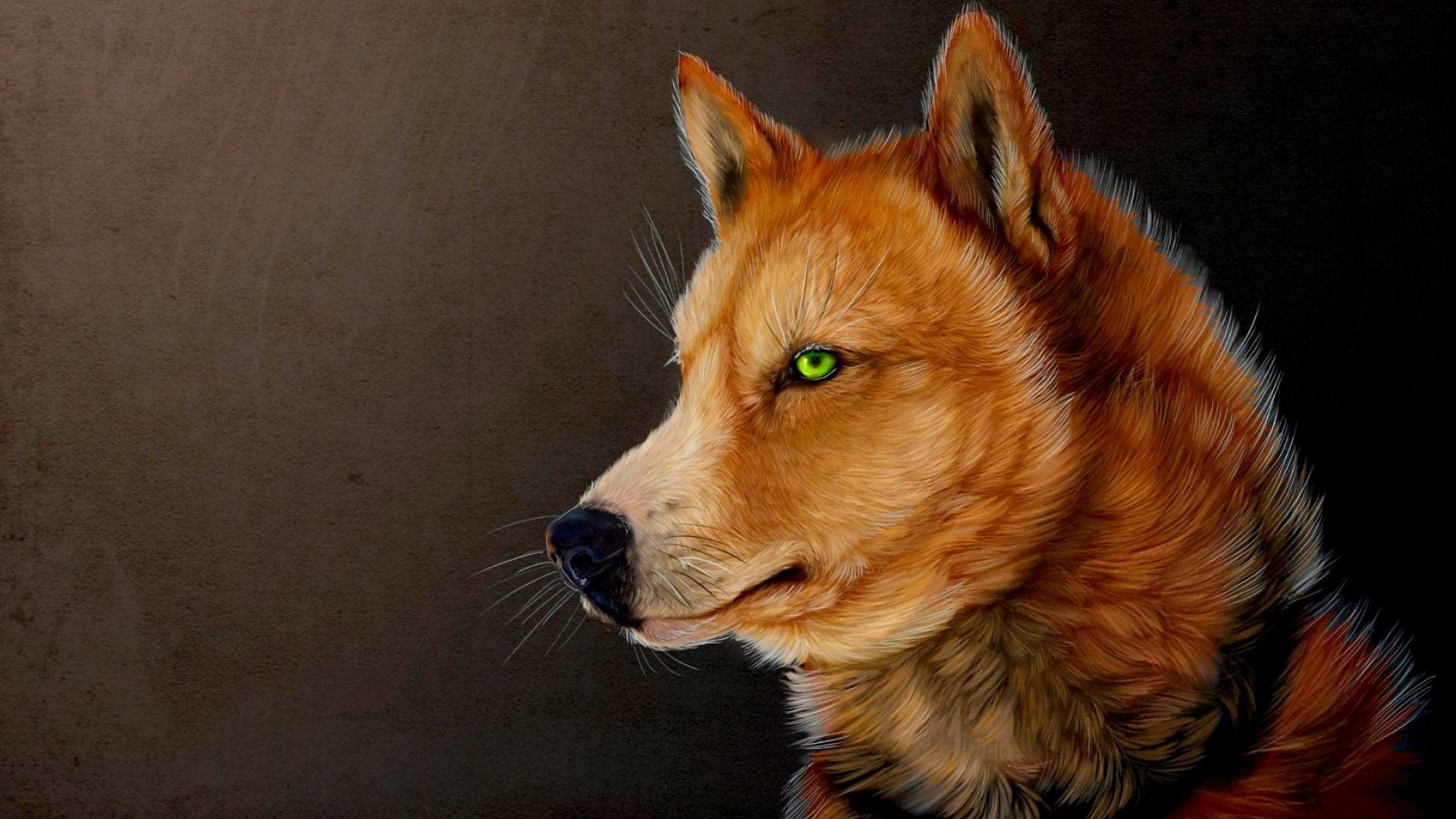 beauty, art, wolf, dog, HD Wallpaper
