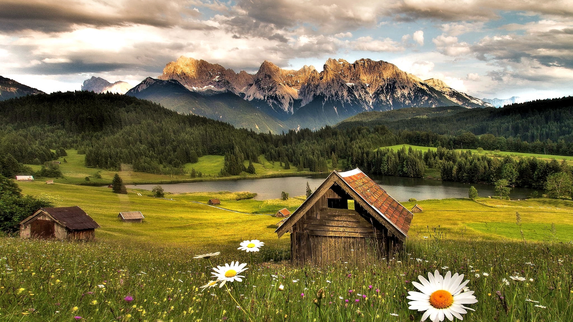 mountain, lake, nature, flower, HD Wallpaper