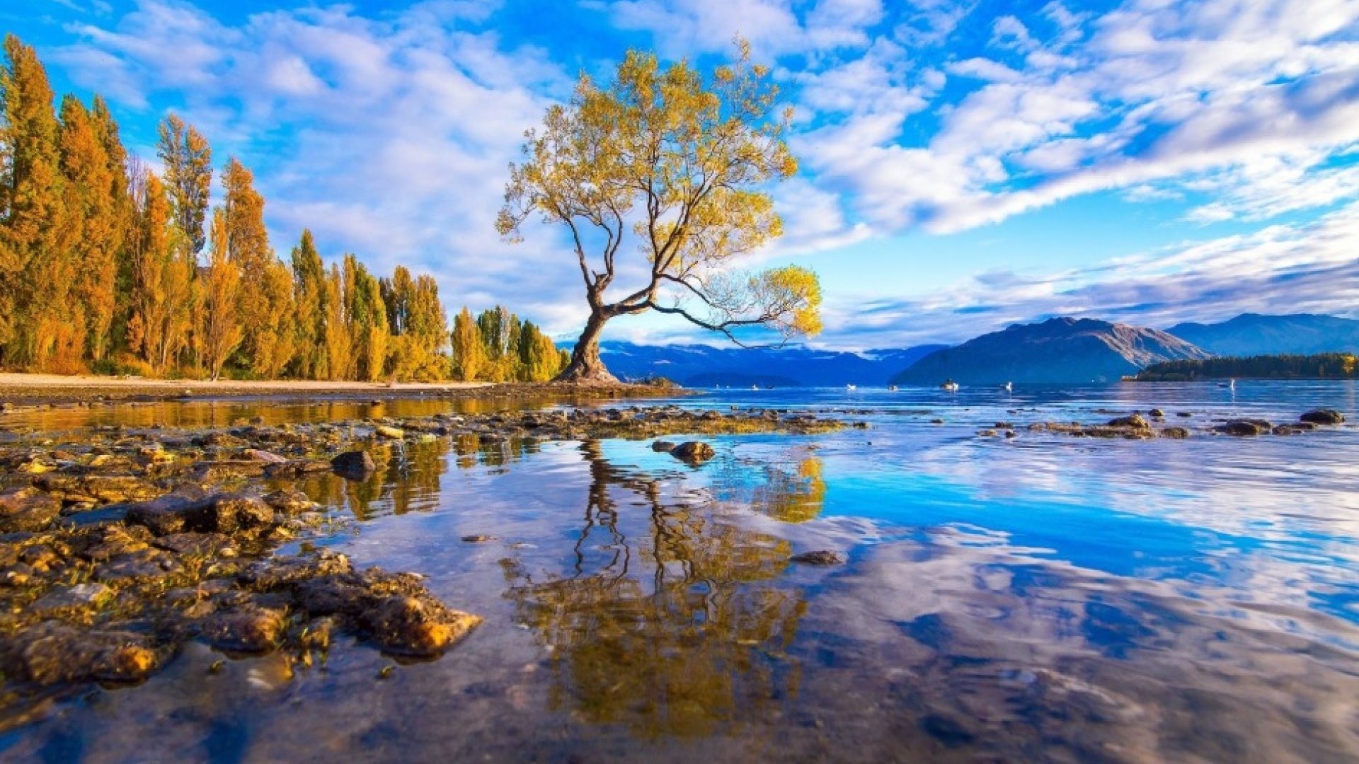 fall, water, colors, trees, clouds, HD Wallpaper