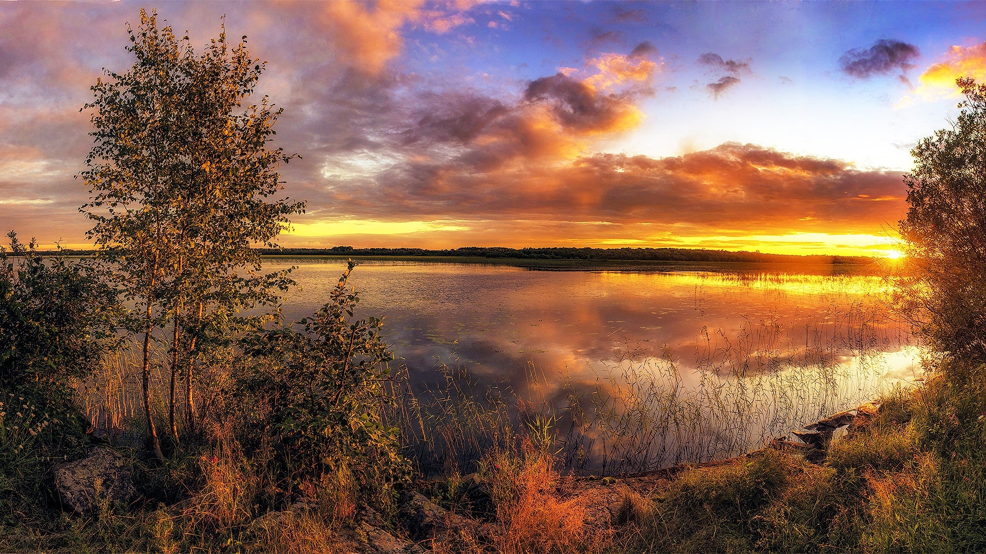 water, clouds, sky, reflections, trees, HD Wallpaper