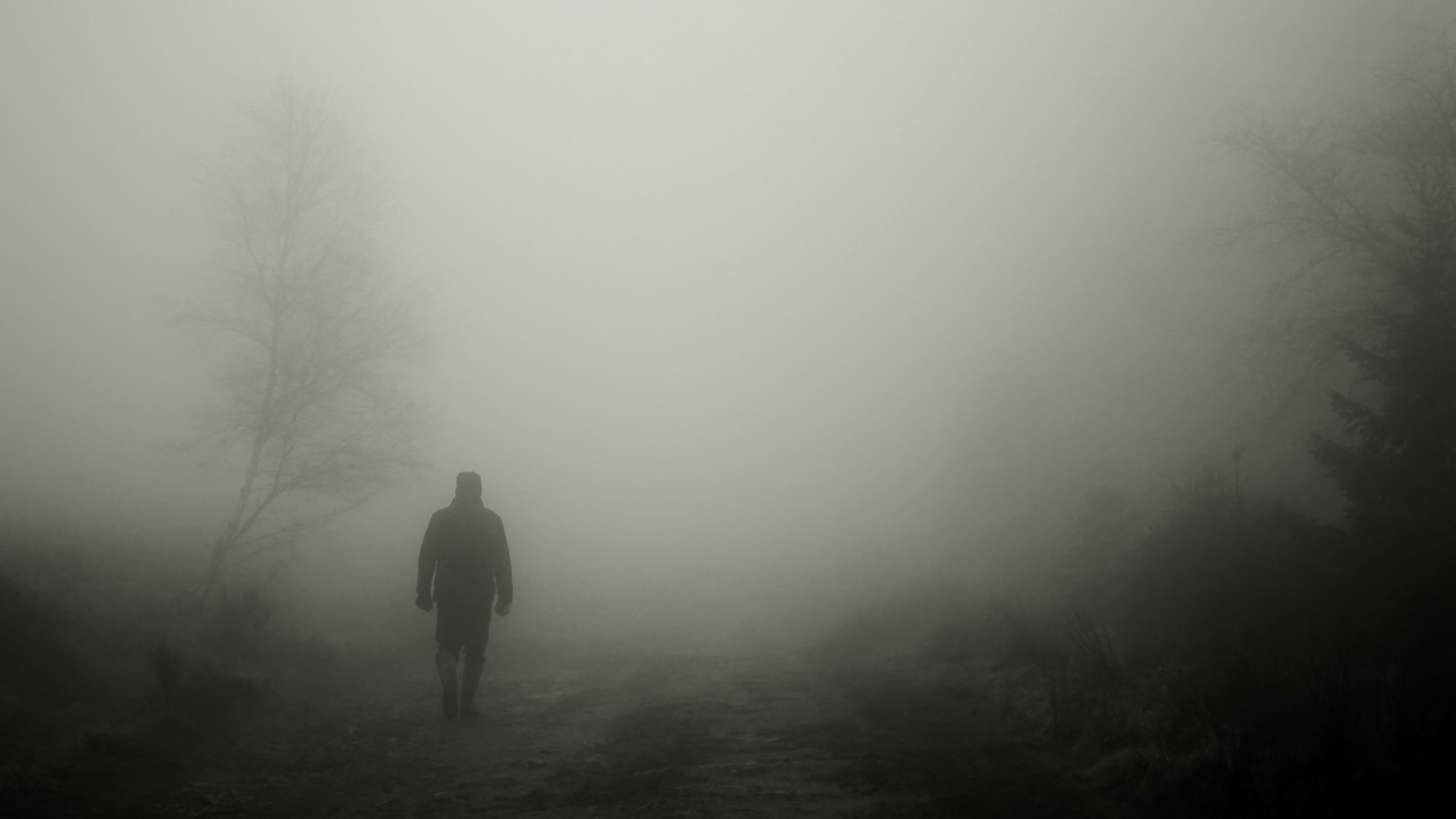 silhouette, fog, loneliness, alone, 4k, HD Wallpaper
