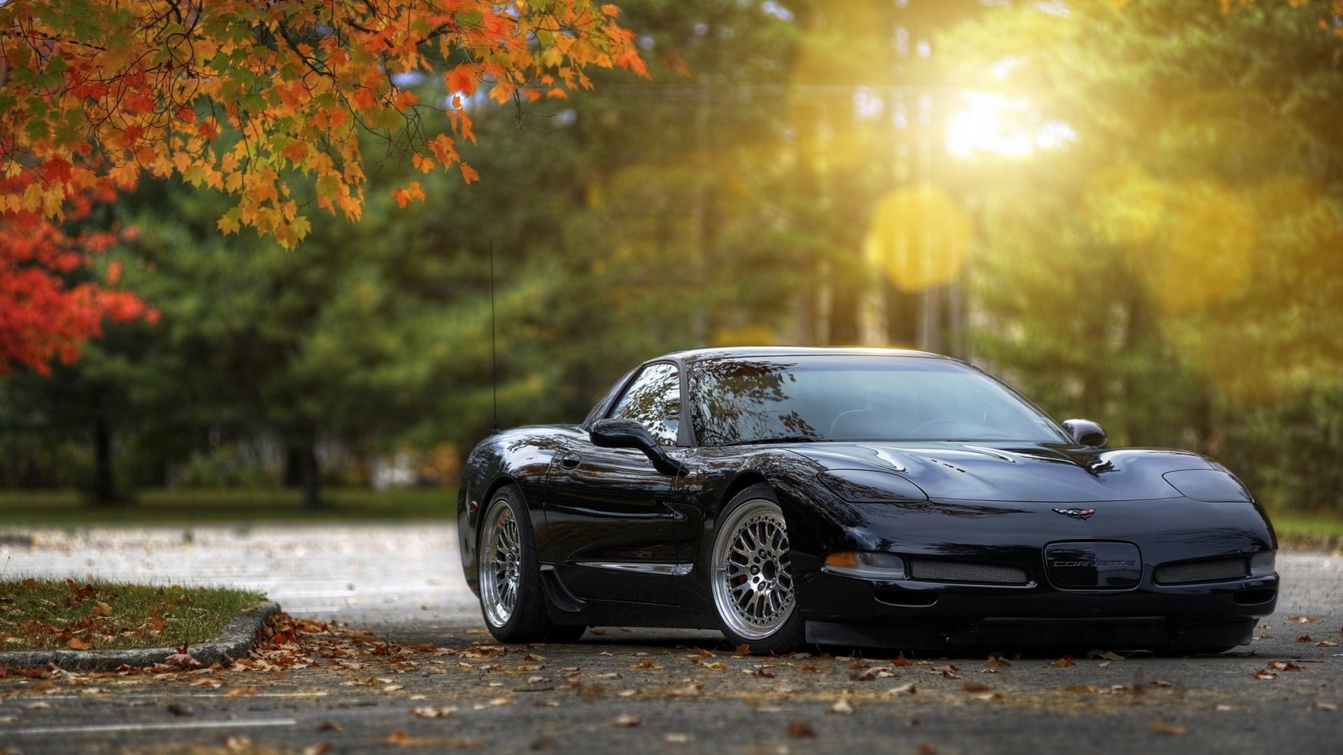forest, autumn, chevrolet corvette, car, HD Wallpaper