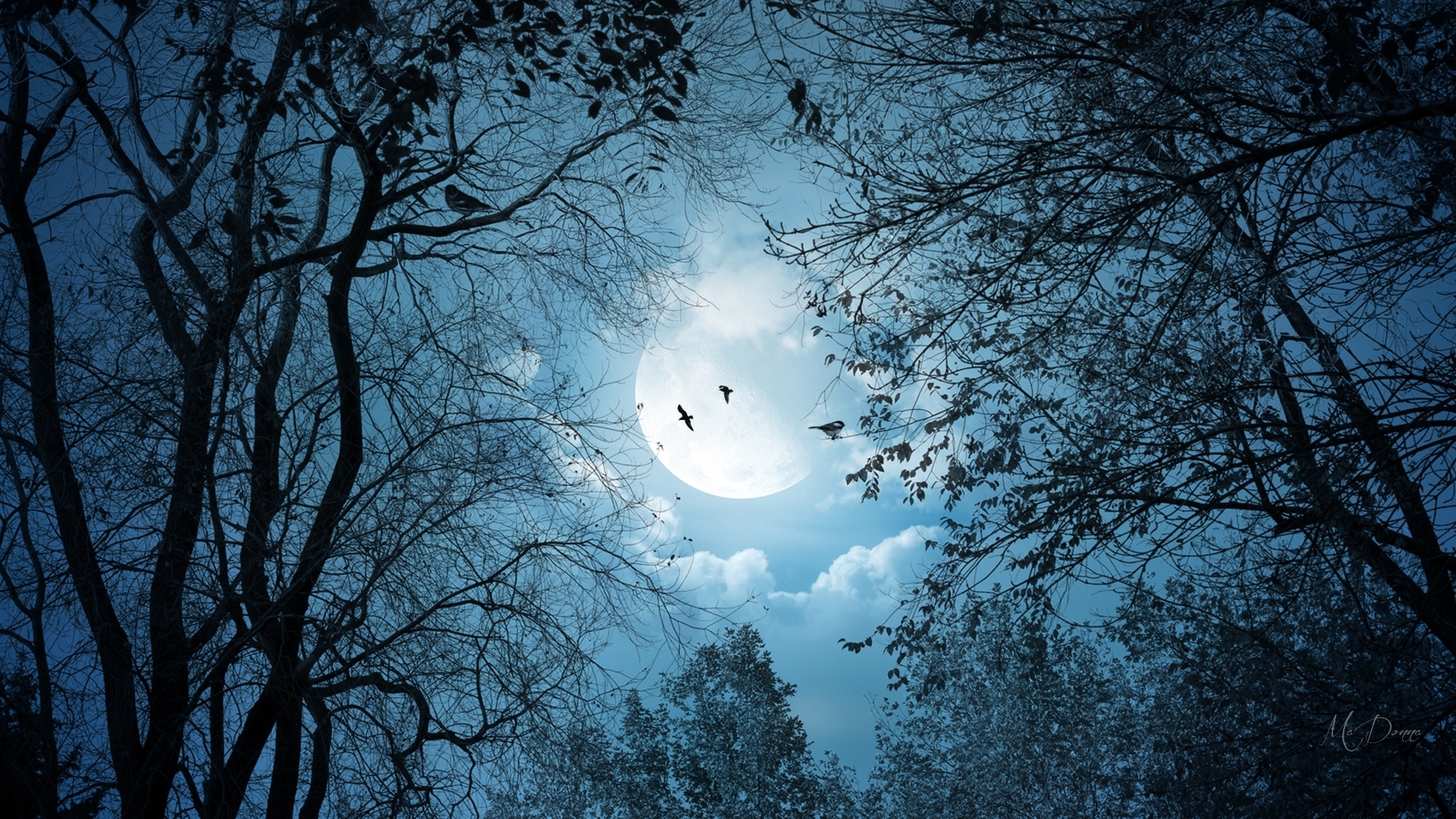 fall, autumn, birds, trees, sky, clouds, leaves, moon, firefox persona theme, blue, HD Wallpaper