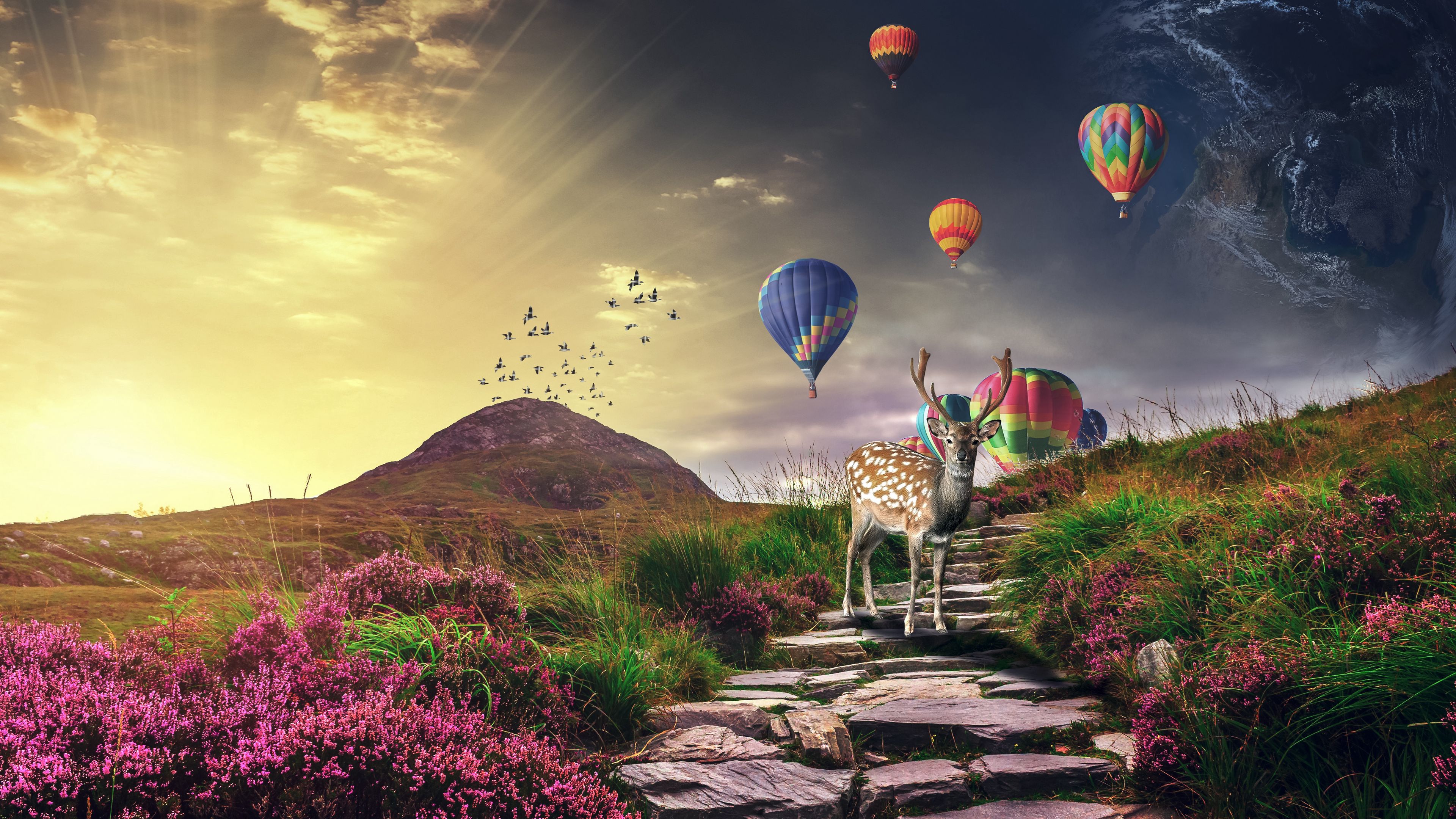 deer, air balloons, photoshop, 4k, HD Wallpaper