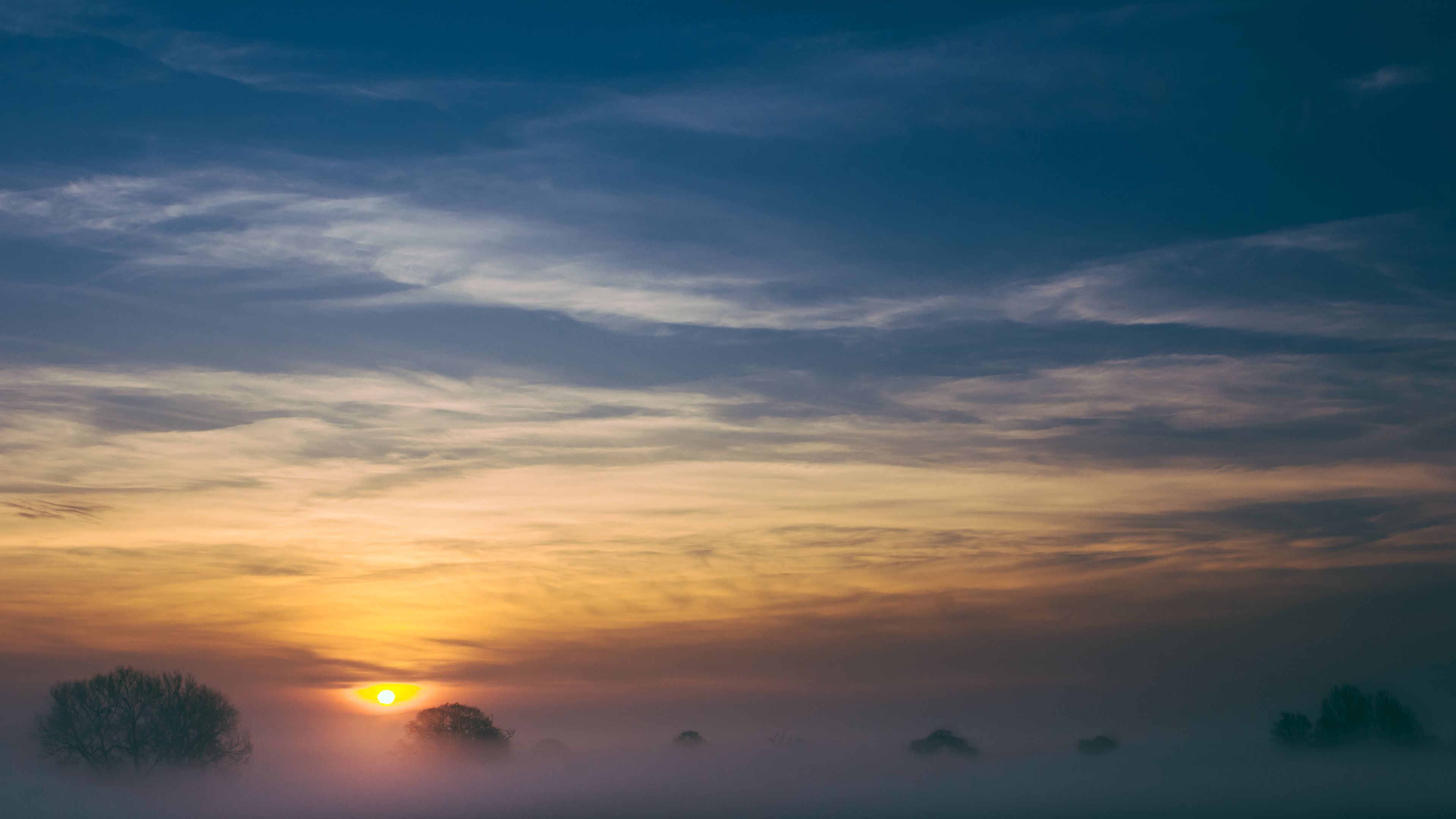 trees, fog, sunrise, sky, 4k, HD Wallpaper